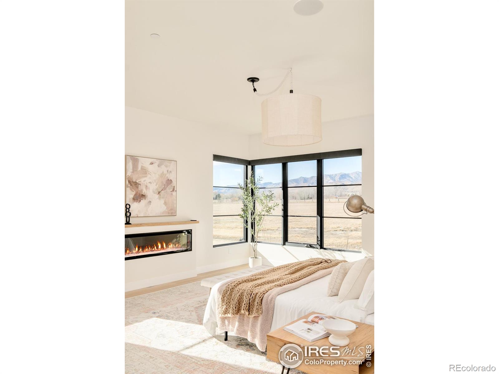 MLS Image #22 for 5336  caribou springs trail,longmont, Colorado