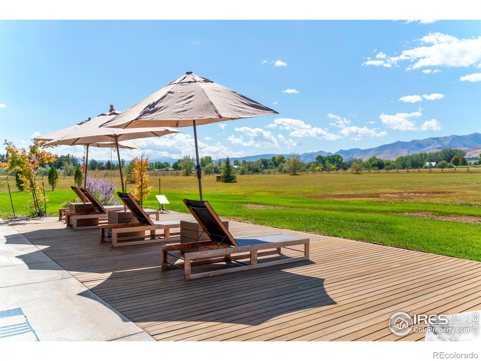 MLS Image #39 for 5336  caribou springs trail,longmont, Colorado