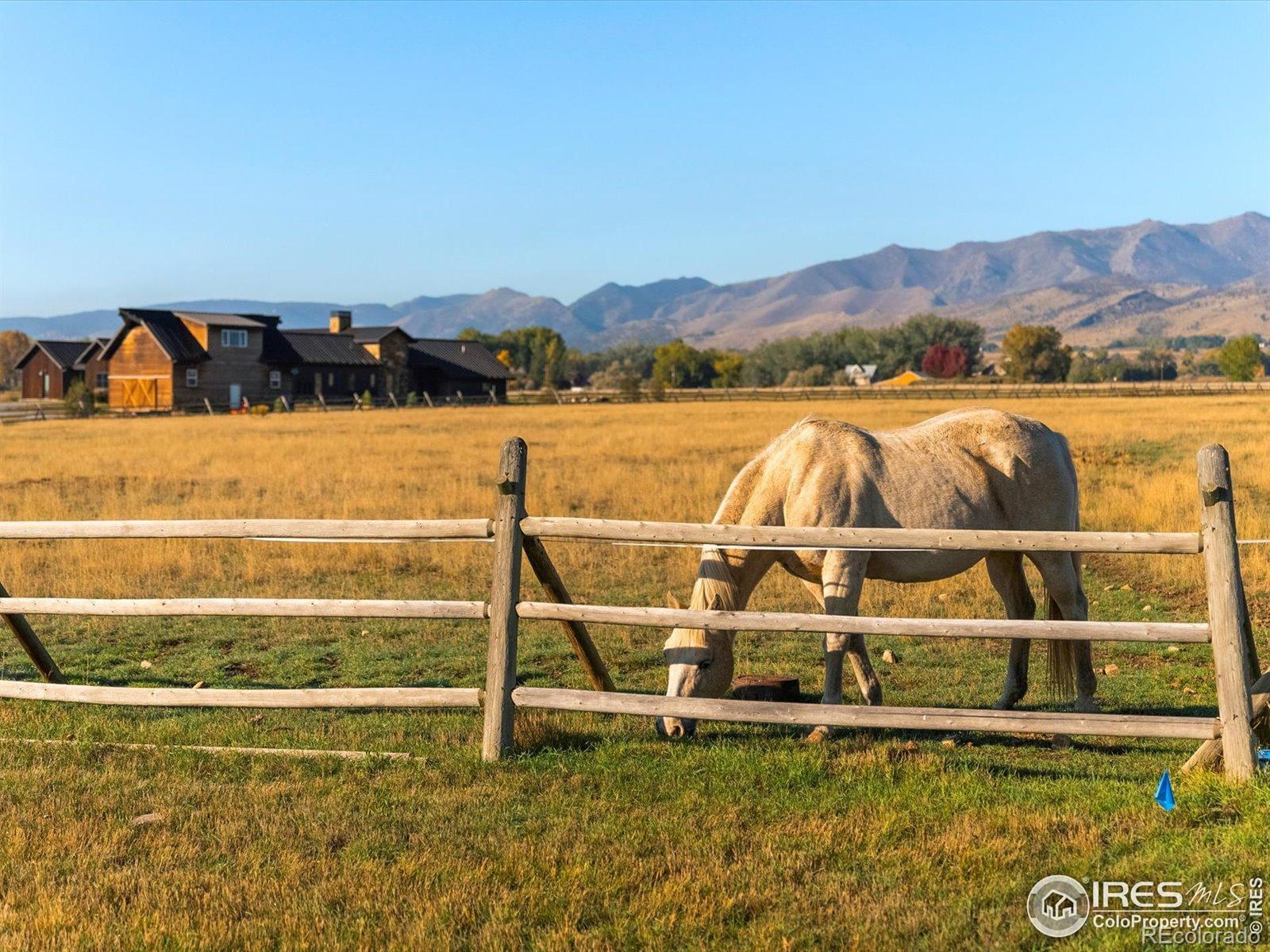 MLS Image #4 for 5336  caribou springs trail,longmont, Colorado
