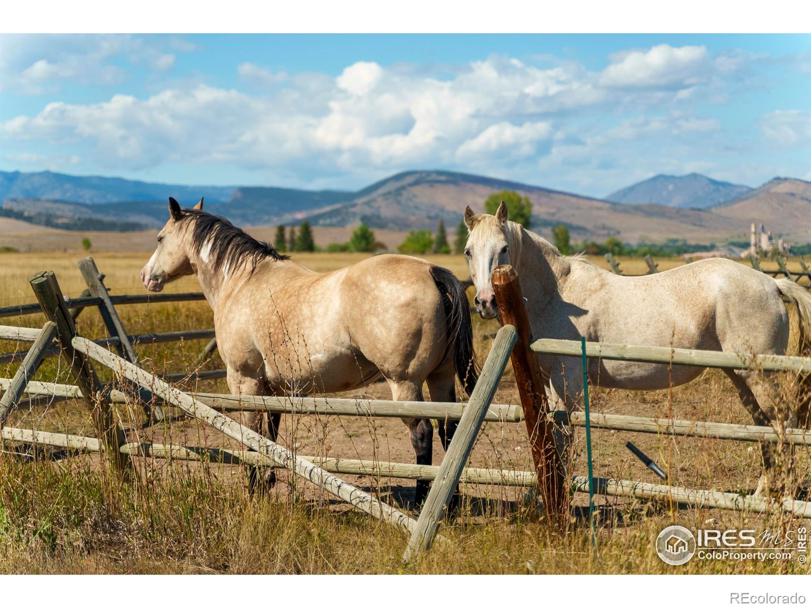 MLS Image #40 for 5336  caribou springs trail,longmont, Colorado