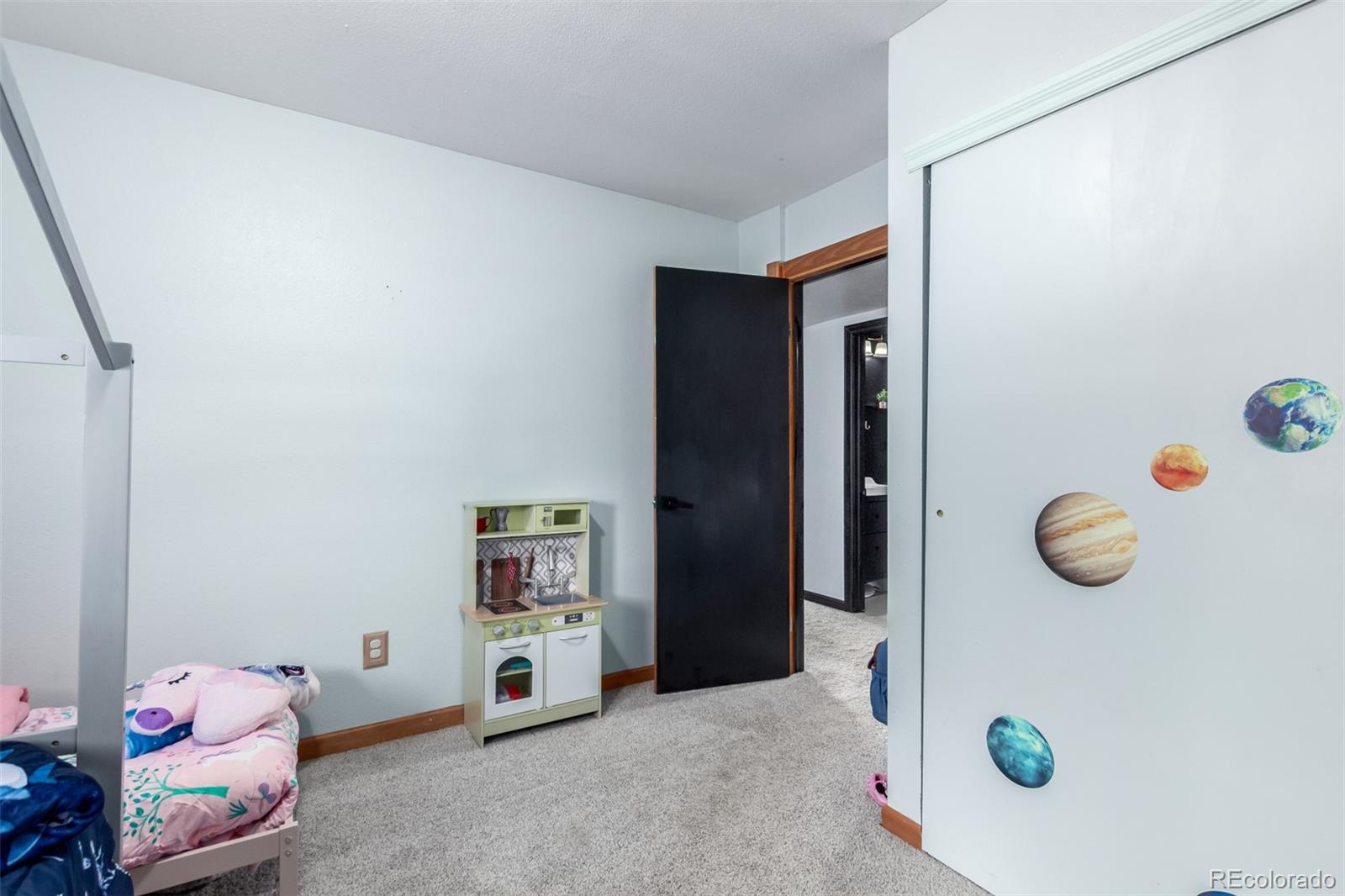 MLS Image #22 for 121  sunlight lane,bailey, Colorado