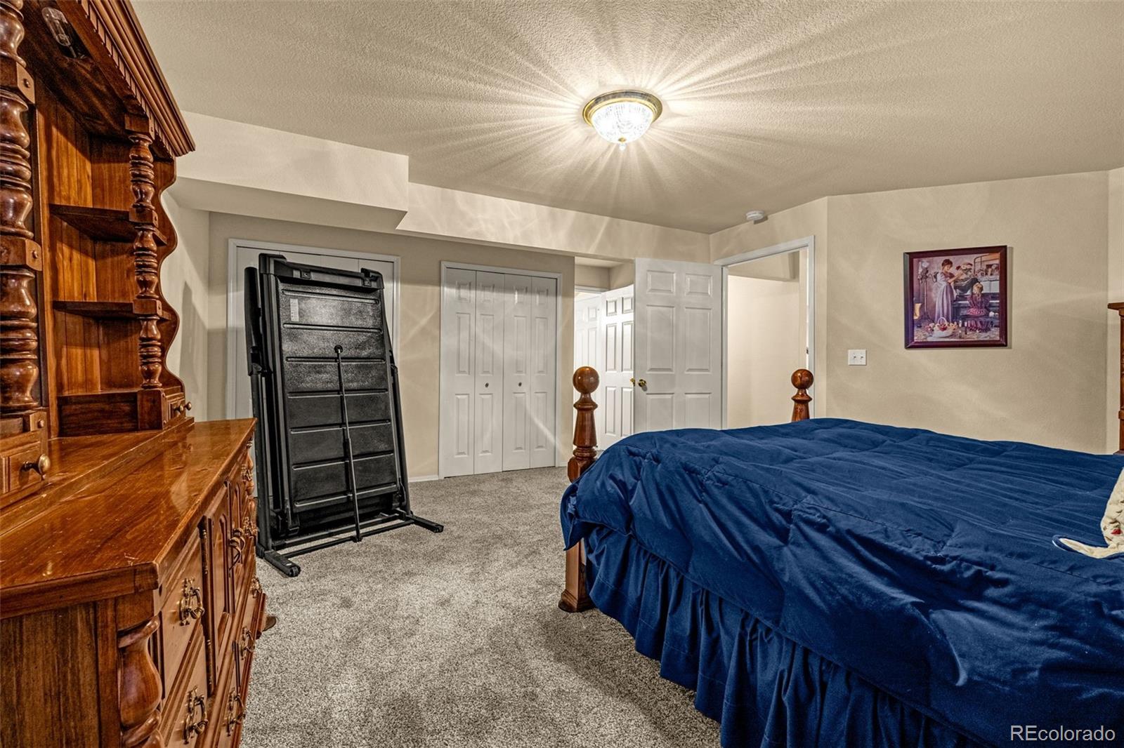 MLS Image #28 for 1310  bison ridge drive,colorado springs, Colorado