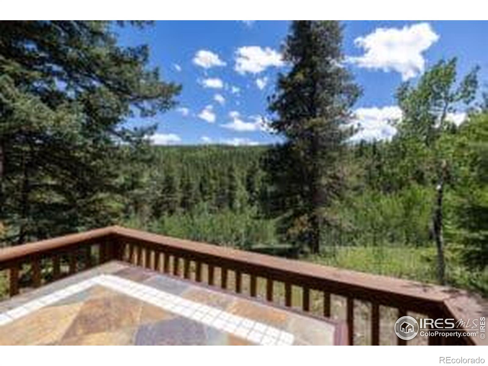 MLS Image #10 for 1001  pactolus lake road,black hawk, Colorado
