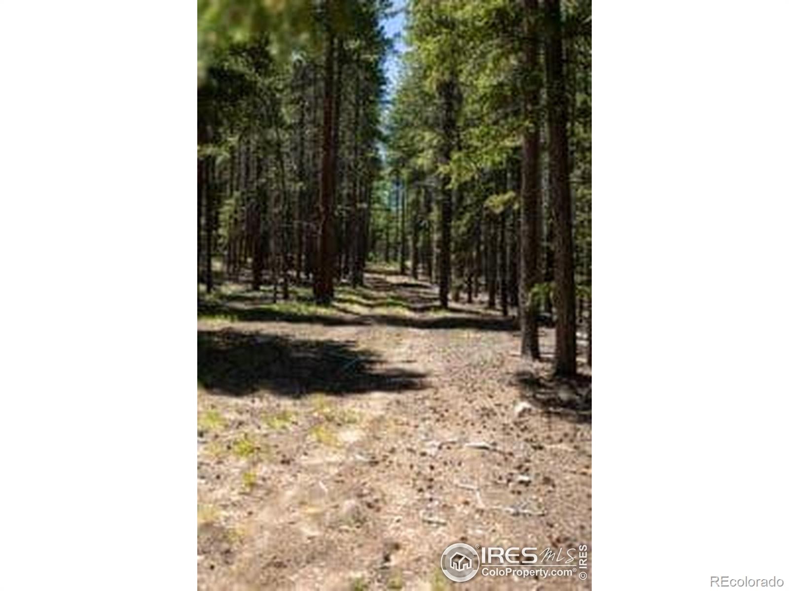 MLS Image #16 for 1001  pactolus lake road,black hawk, Colorado