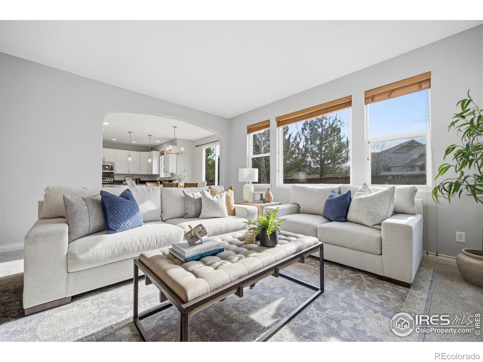 MLS Image #8 for 2121  katahdin drive,fort collins, Colorado