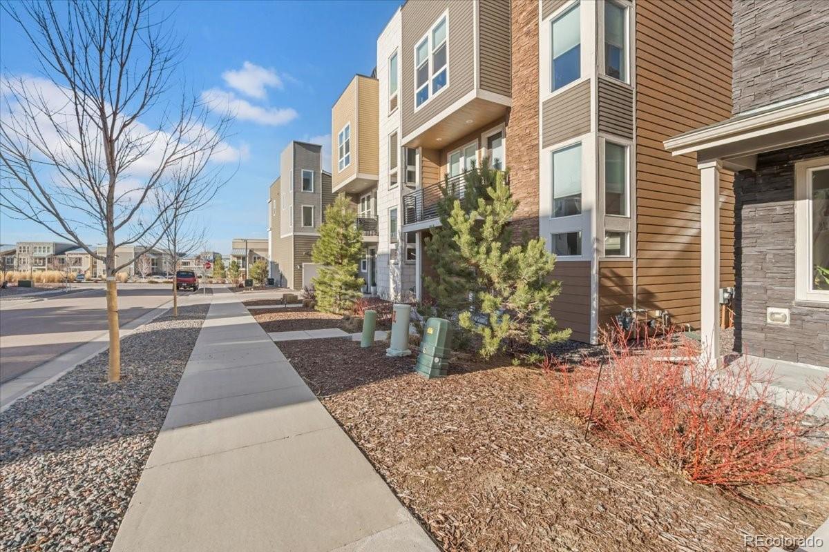 MLS Image #3 for 3701  penang drive,castle rock, Colorado