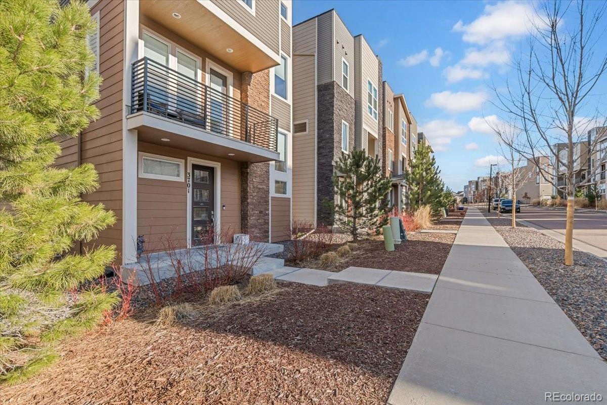 MLS Image #30 for 3701  penang drive,castle rock, Colorado