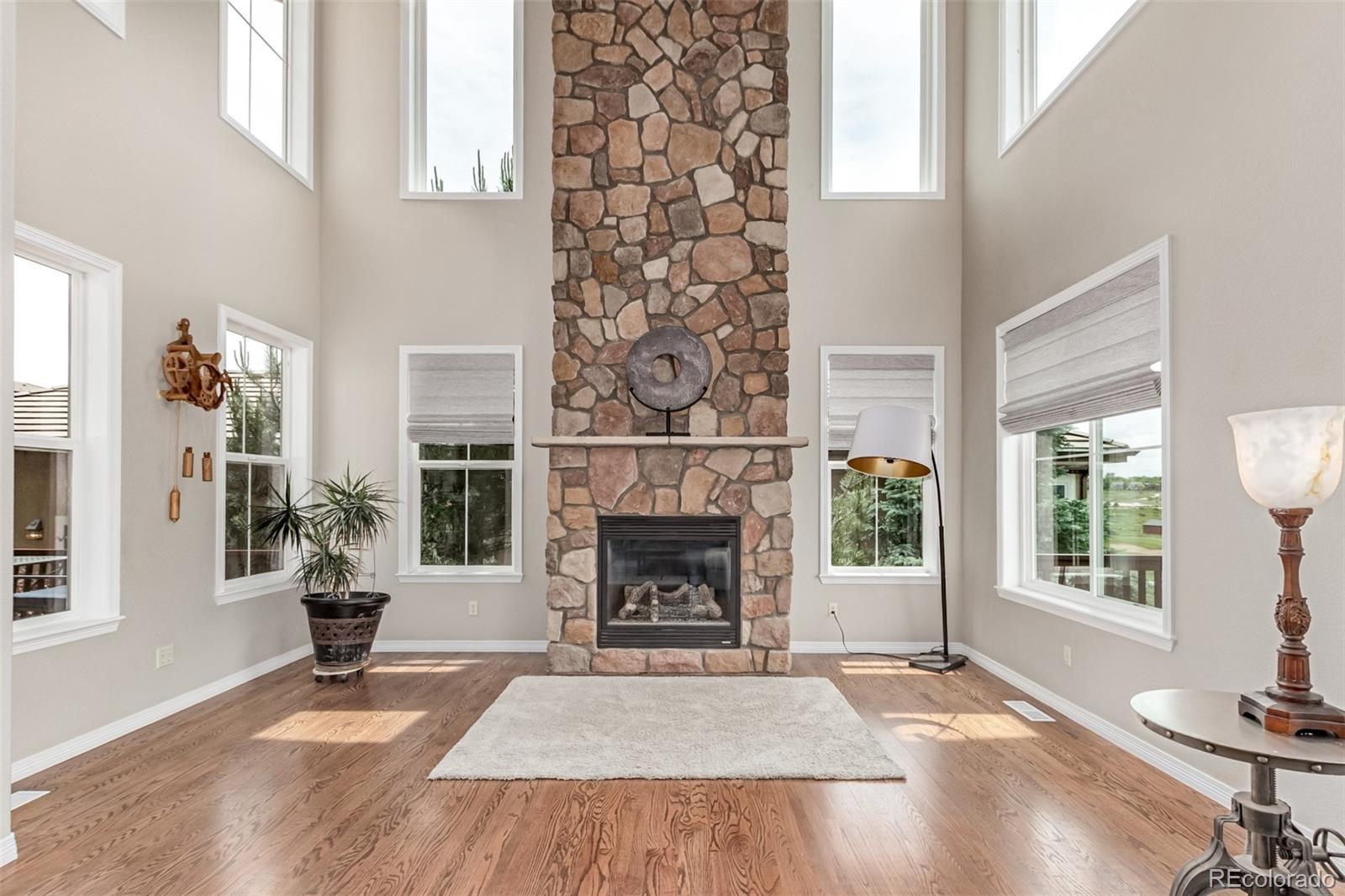 MLS Image #10 for 8993  stonecrest way,highlands ranch, Colorado
