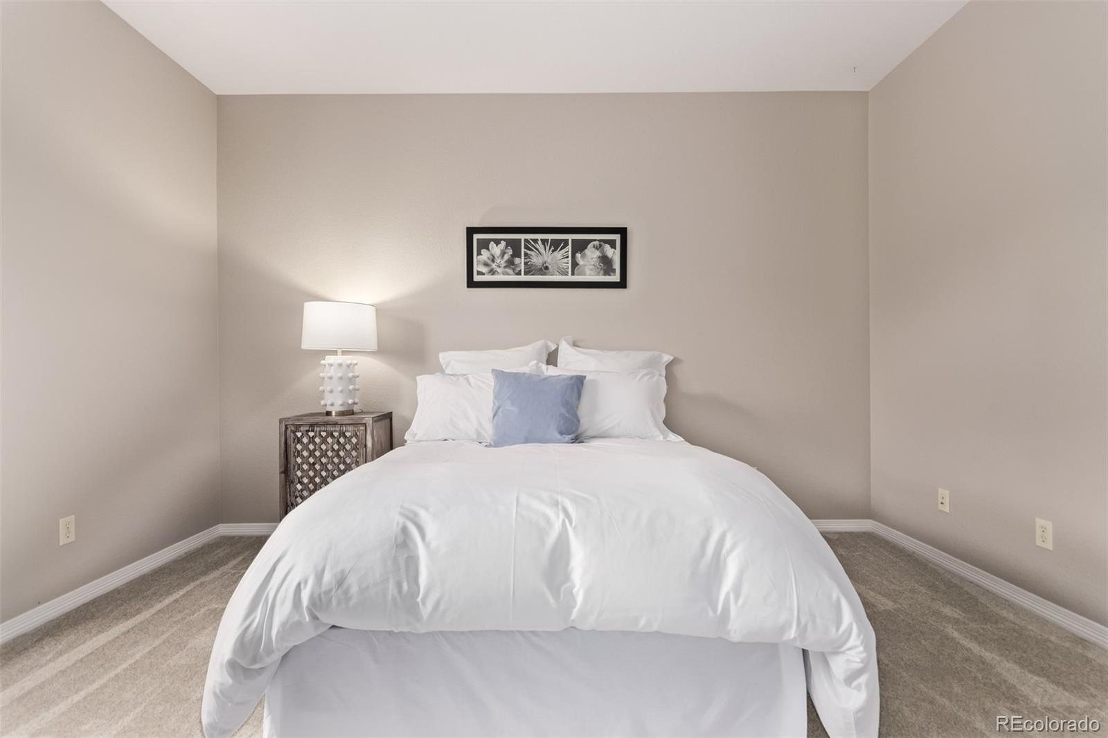 MLS Image #25 for 8993  stonecrest way,highlands ranch, Colorado
