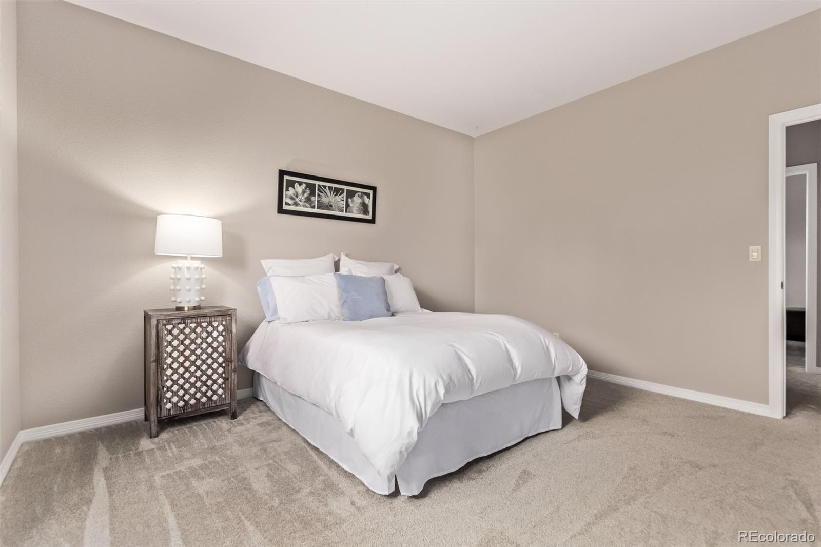 MLS Image #27 for 8993  stonecrest way,highlands ranch, Colorado