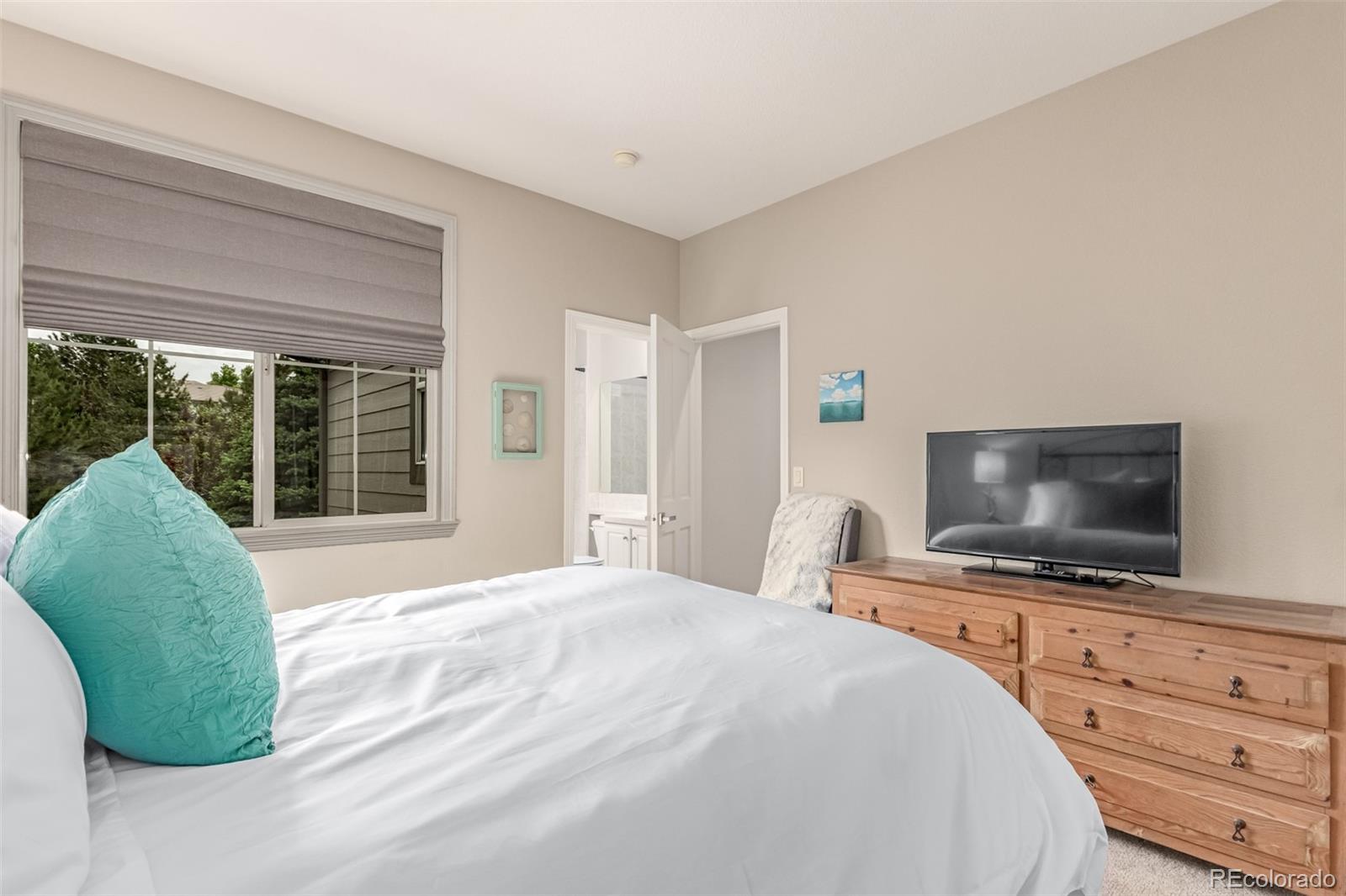 MLS Image #30 for 8993  stonecrest way,highlands ranch, Colorado