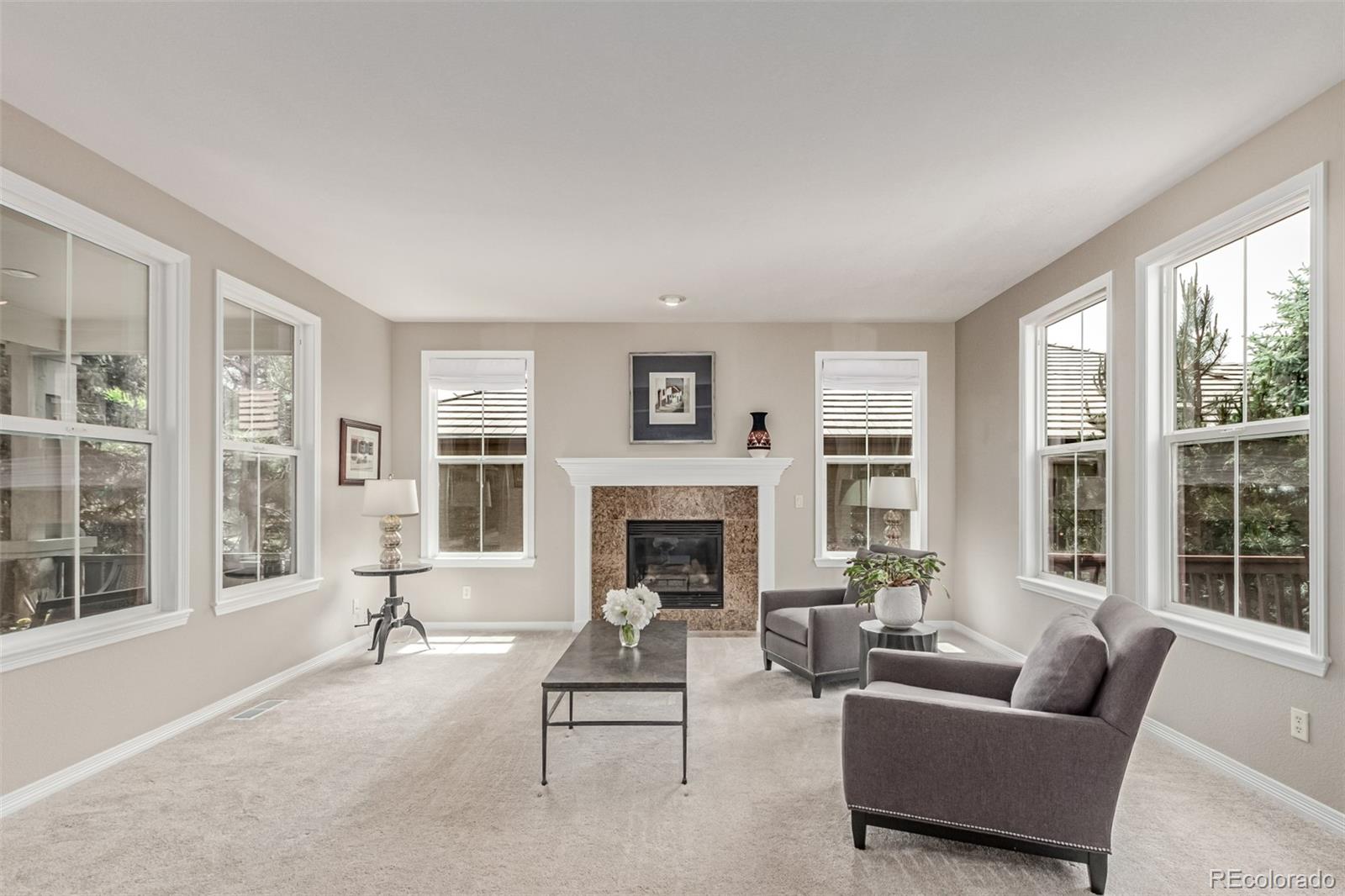 MLS Image #4 for 8993  stonecrest way,highlands ranch, Colorado