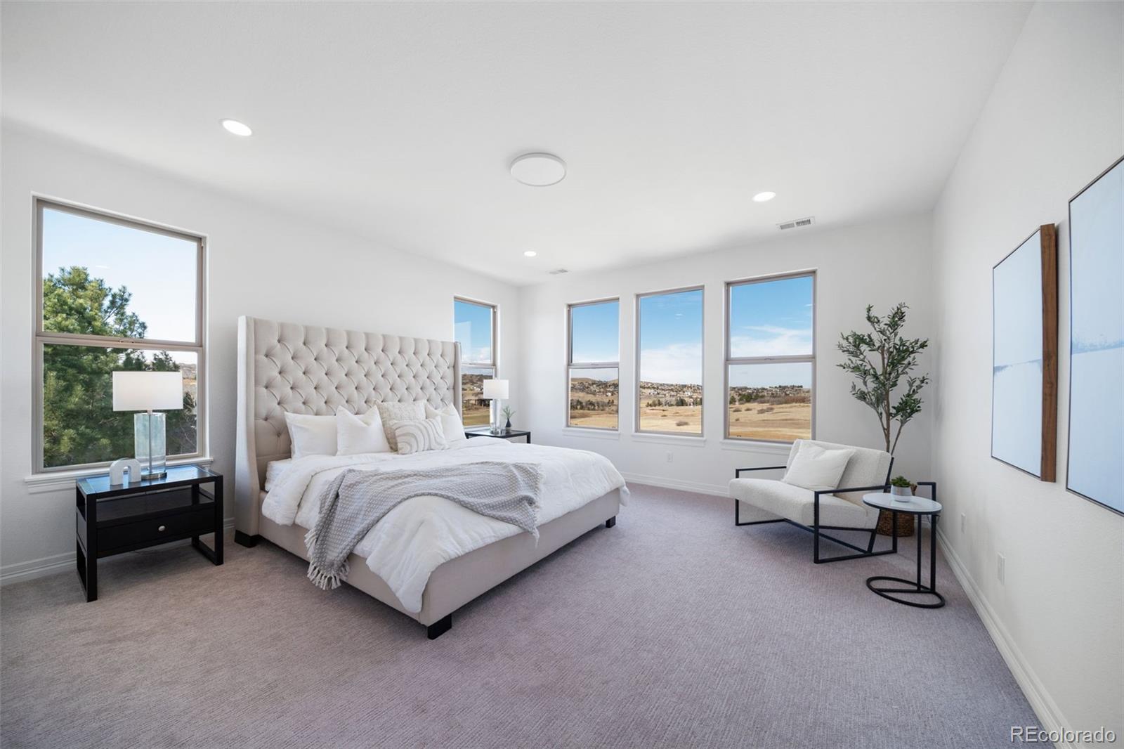 MLS Image #15 for 4512  carefree trail,parker, Colorado