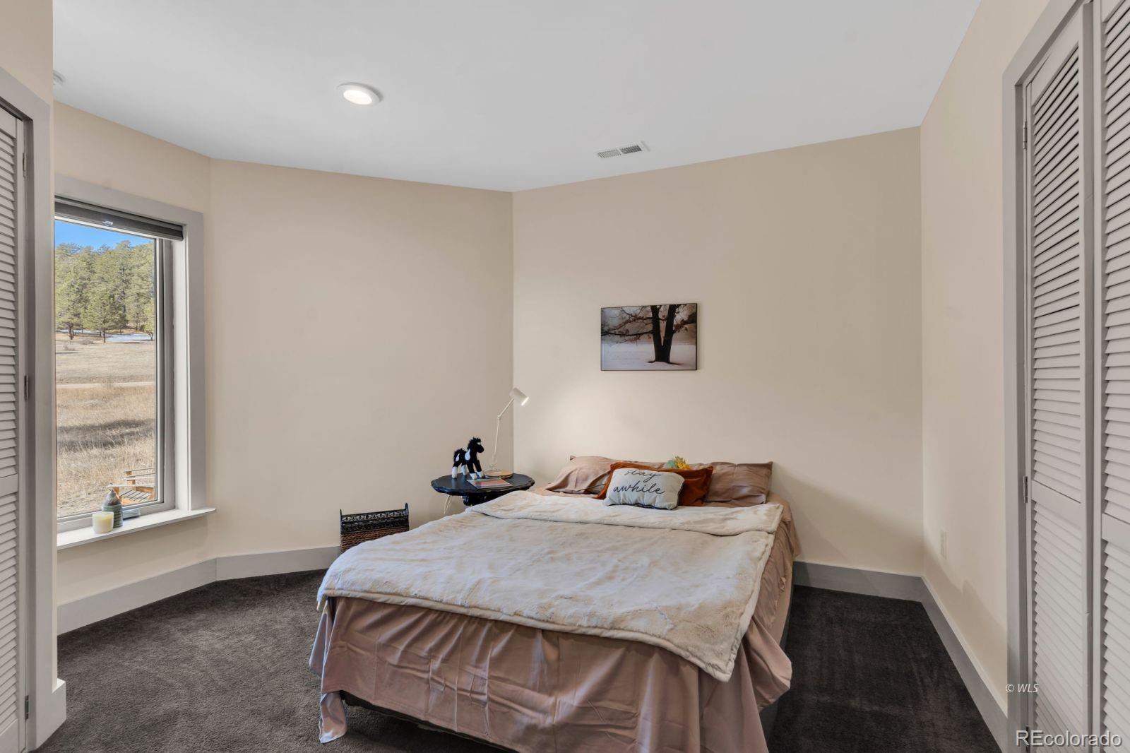 MLS Image #12 for 1564  larkspur lane,westcliffe, Colorado