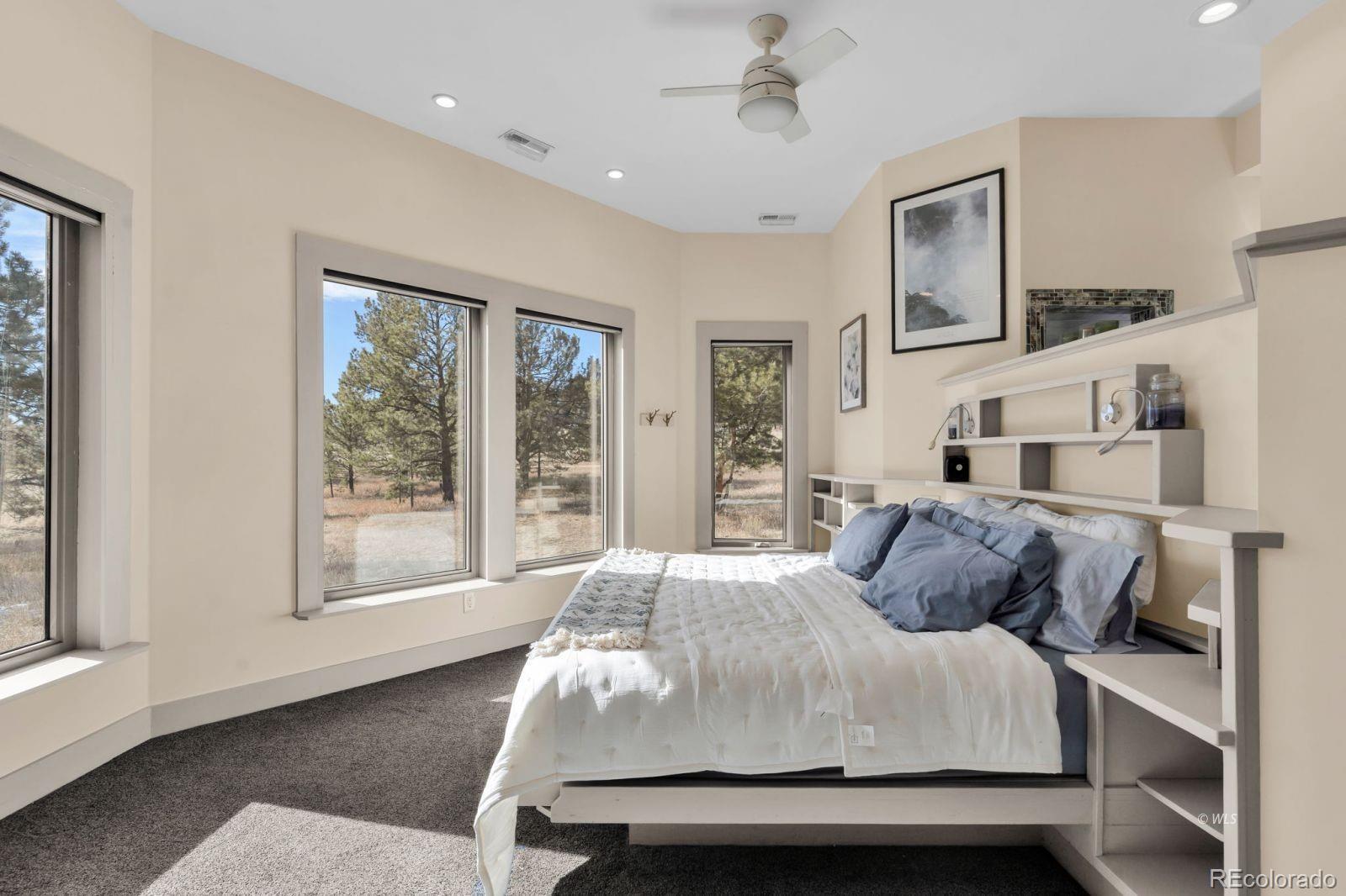 MLS Image #8 for 1564  larkspur lane,westcliffe, Colorado