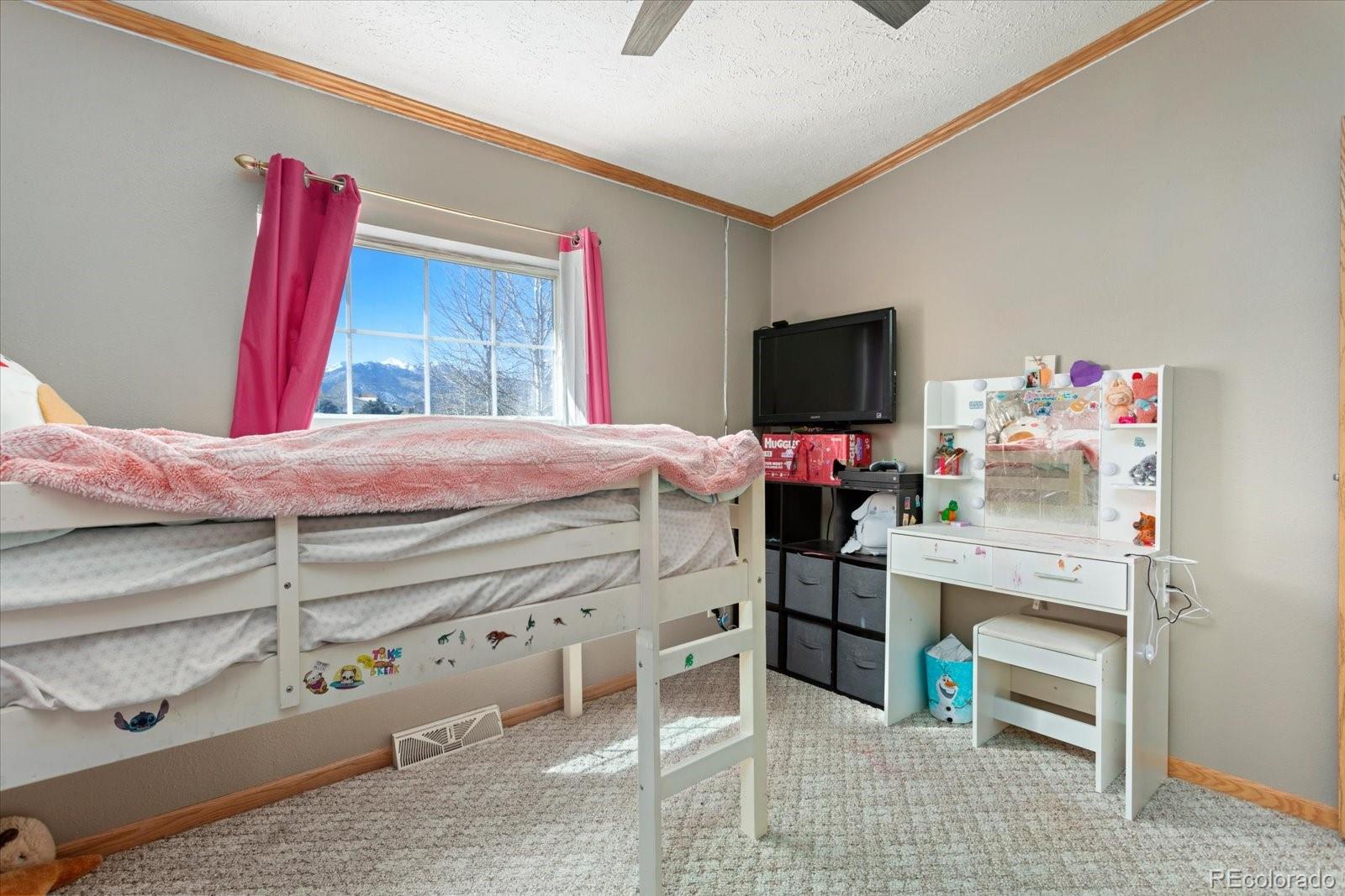 MLS Image #16 for 26388  bassam circle,buena vista, Colorado