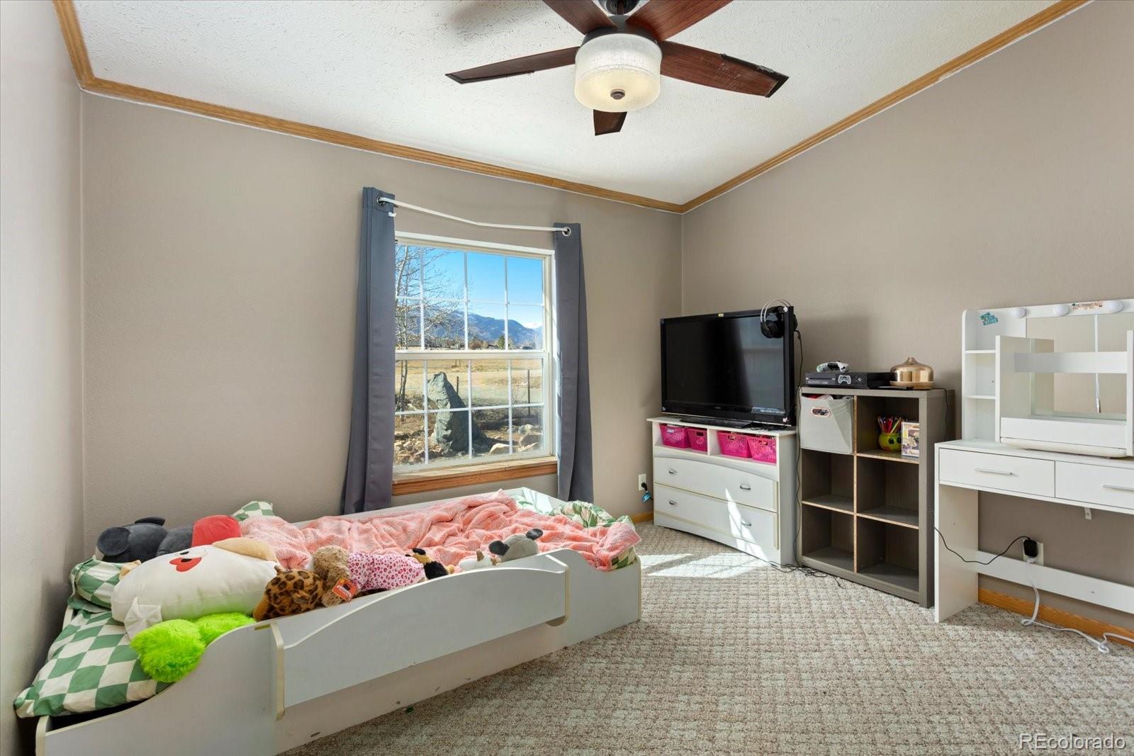 MLS Image #17 for 26388  bassam circle,buena vista, Colorado