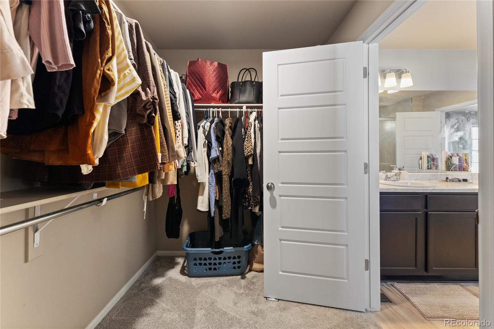 MLS Image #18 for 6937  green stalk circle,colorado springs, Colorado