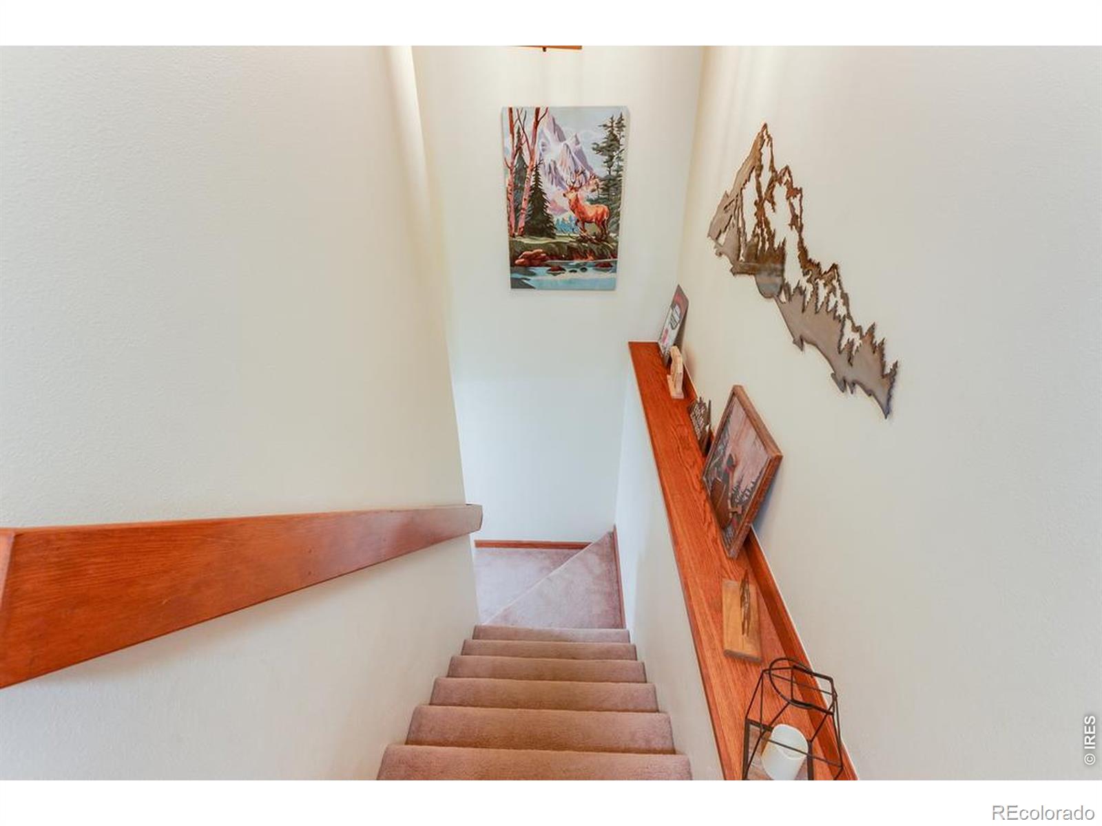 MLS Image #22 for 316  big horn drive,estes park, Colorado