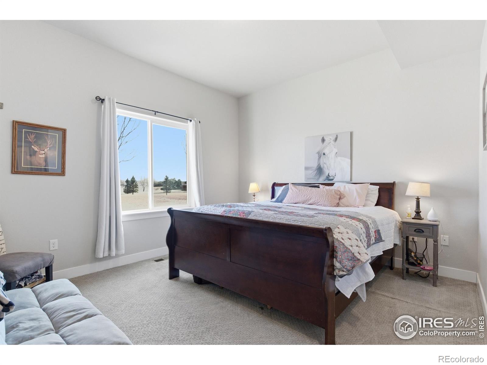 MLS Image #17 for 4165  crittenton lane,wellington, Colorado