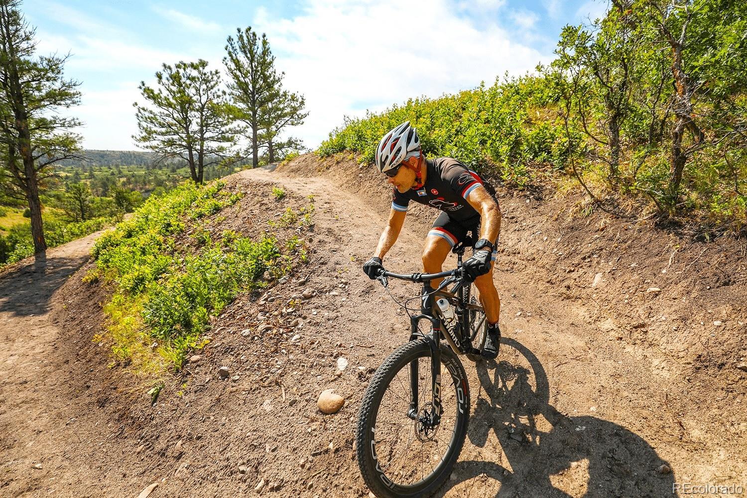 MLS Image #41 for 3600  doubletrack lane,castle rock, Colorado