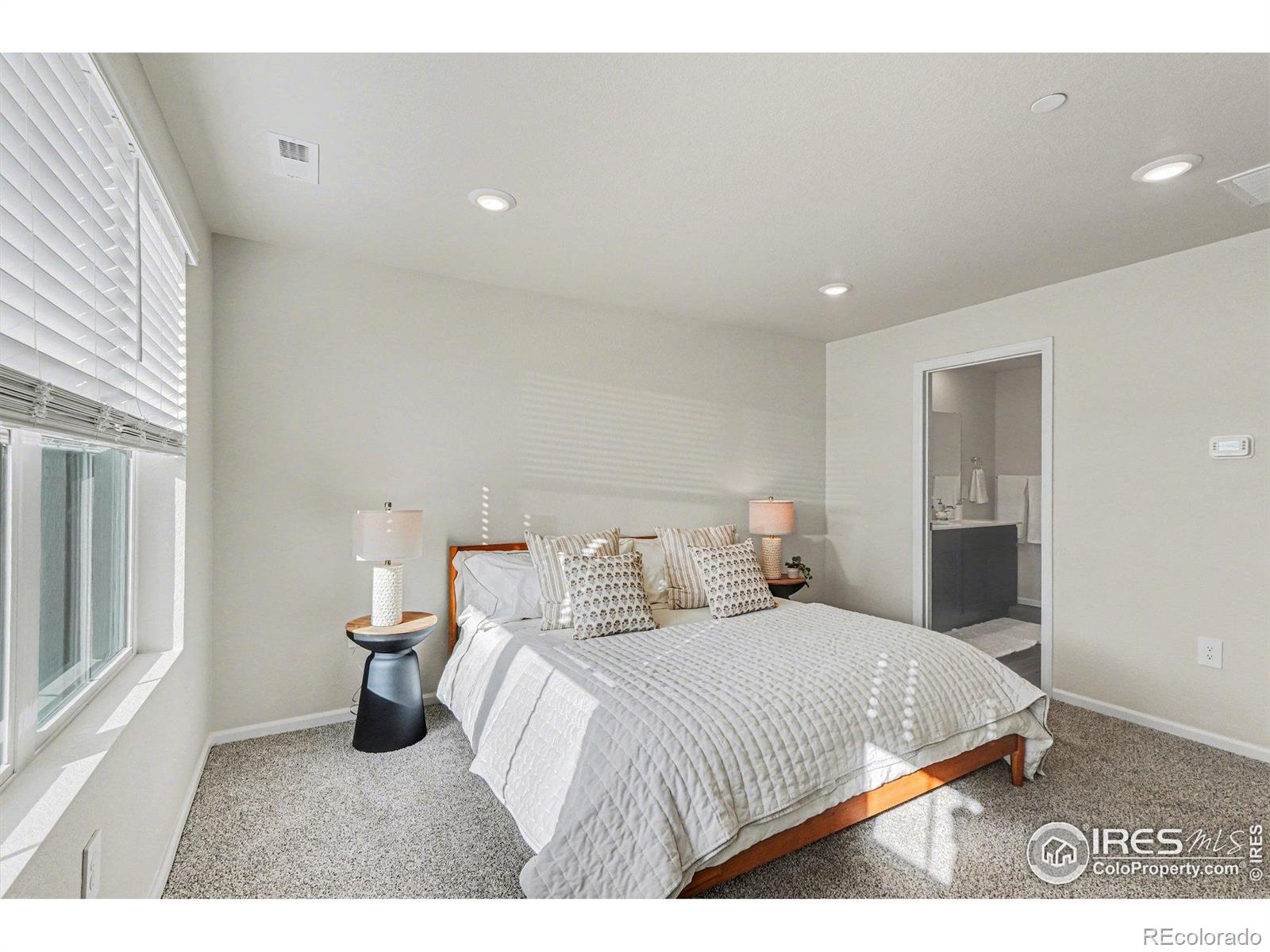 MLS Image #12 for 1600  riverplace drive,windsor, Colorado