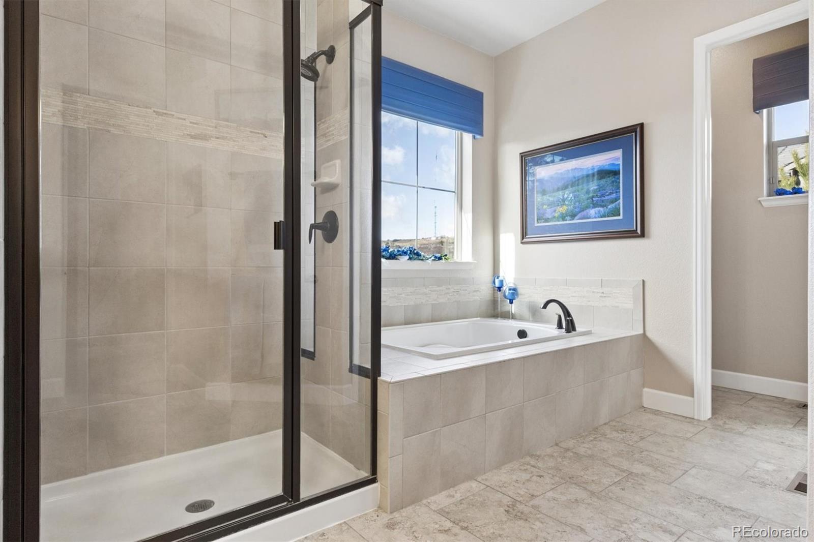 MLS Image #21 for 438  galaxy drive,castle rock, Colorado