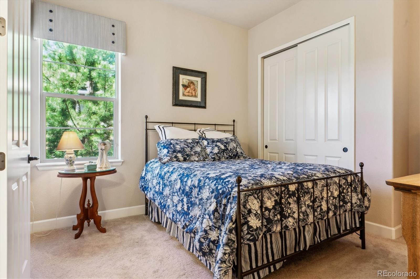 MLS Image #26 for 438  galaxy drive,castle rock, Colorado