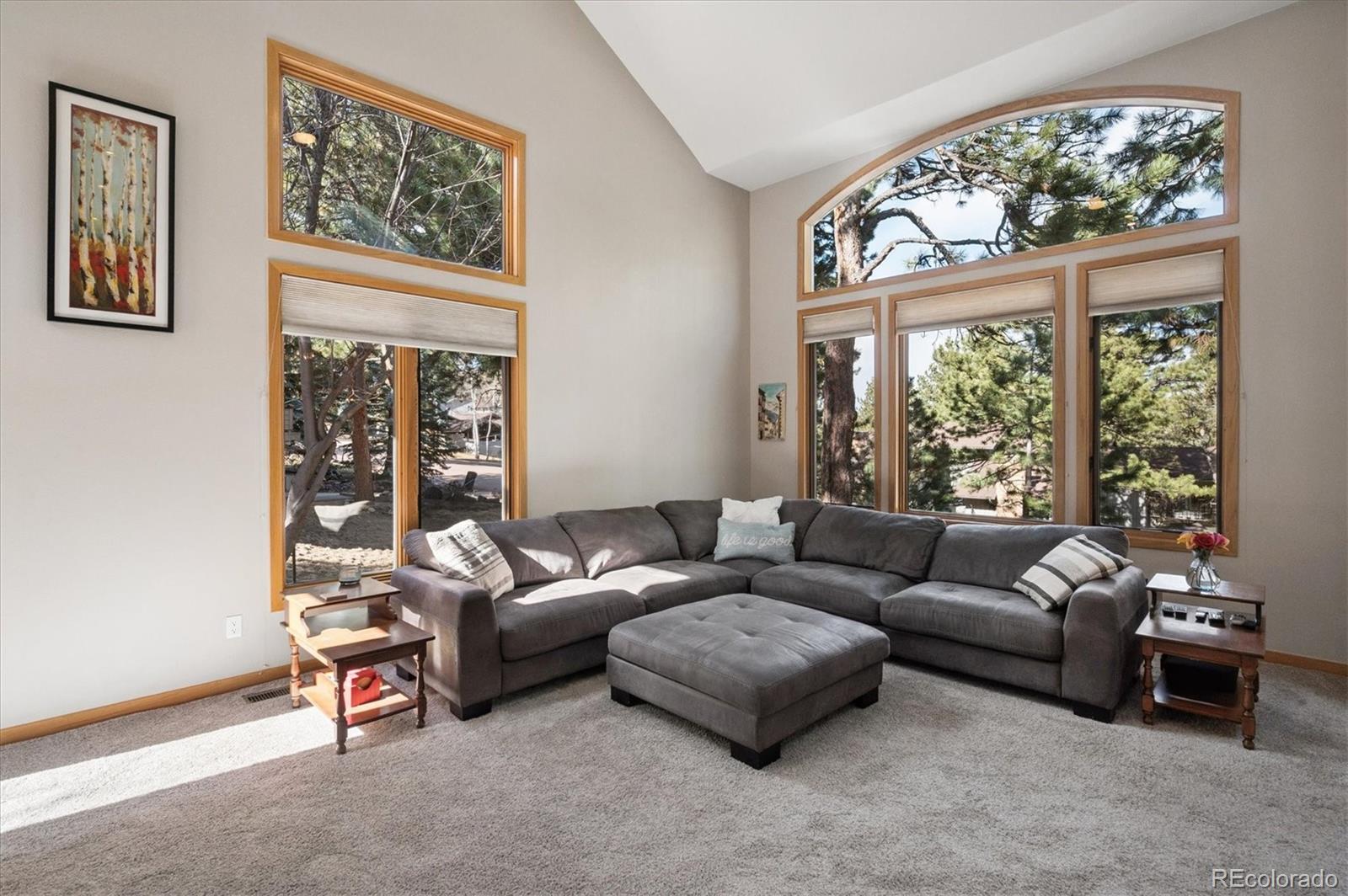 MLS Image #12 for 2397  hearth drive,evergreen, Colorado