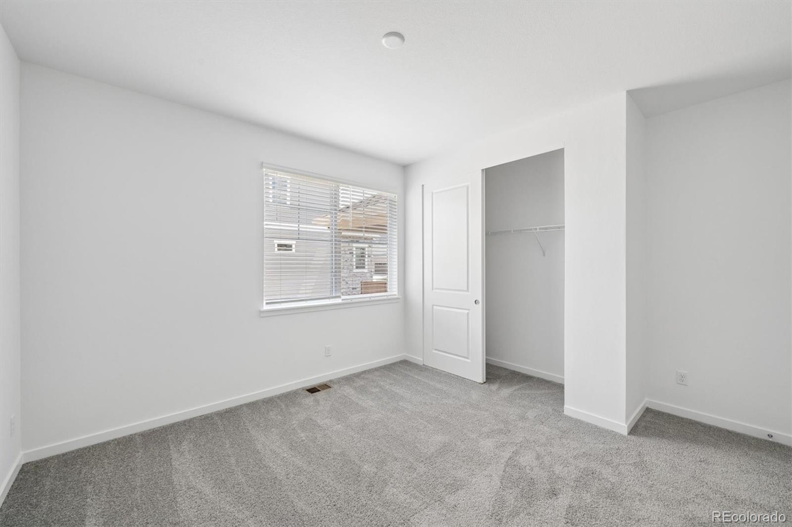 MLS Image #10 for 9218  gold lace place,highlands ranch, Colorado