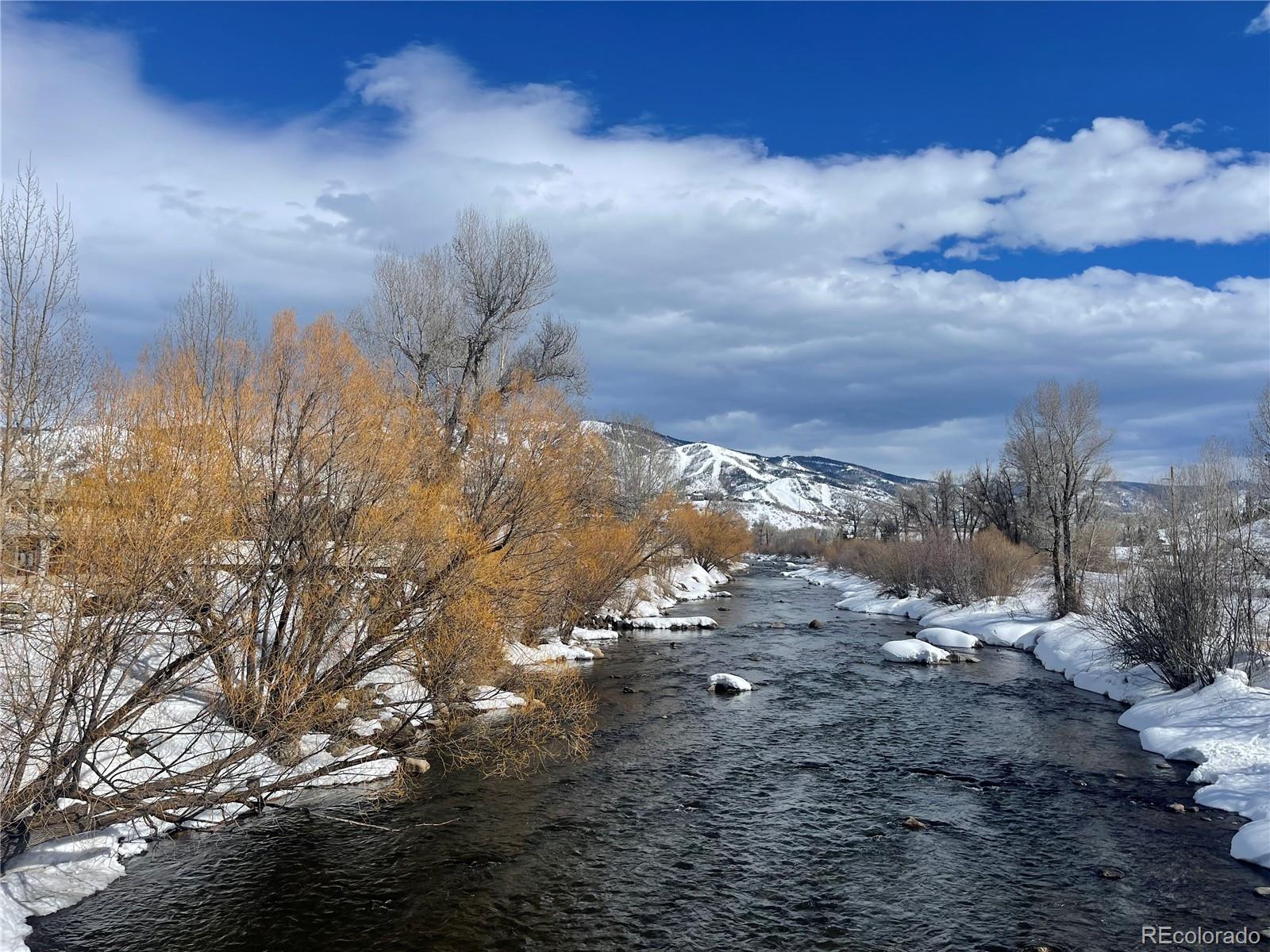 MLS Image #21 for 730  yampa street,steamboat springs, Colorado