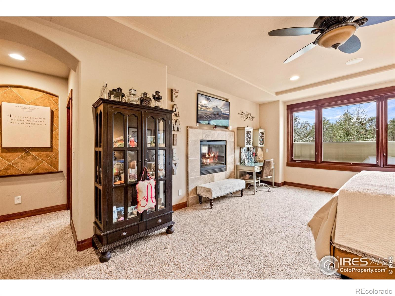MLS Image #17 for 1782  tulip tree place,castle rock, Colorado