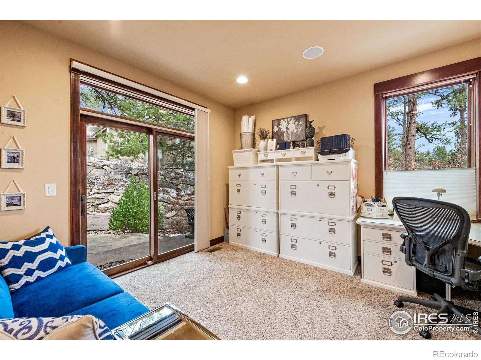 MLS Image #22 for 1782  tulip tree place,castle rock, Colorado