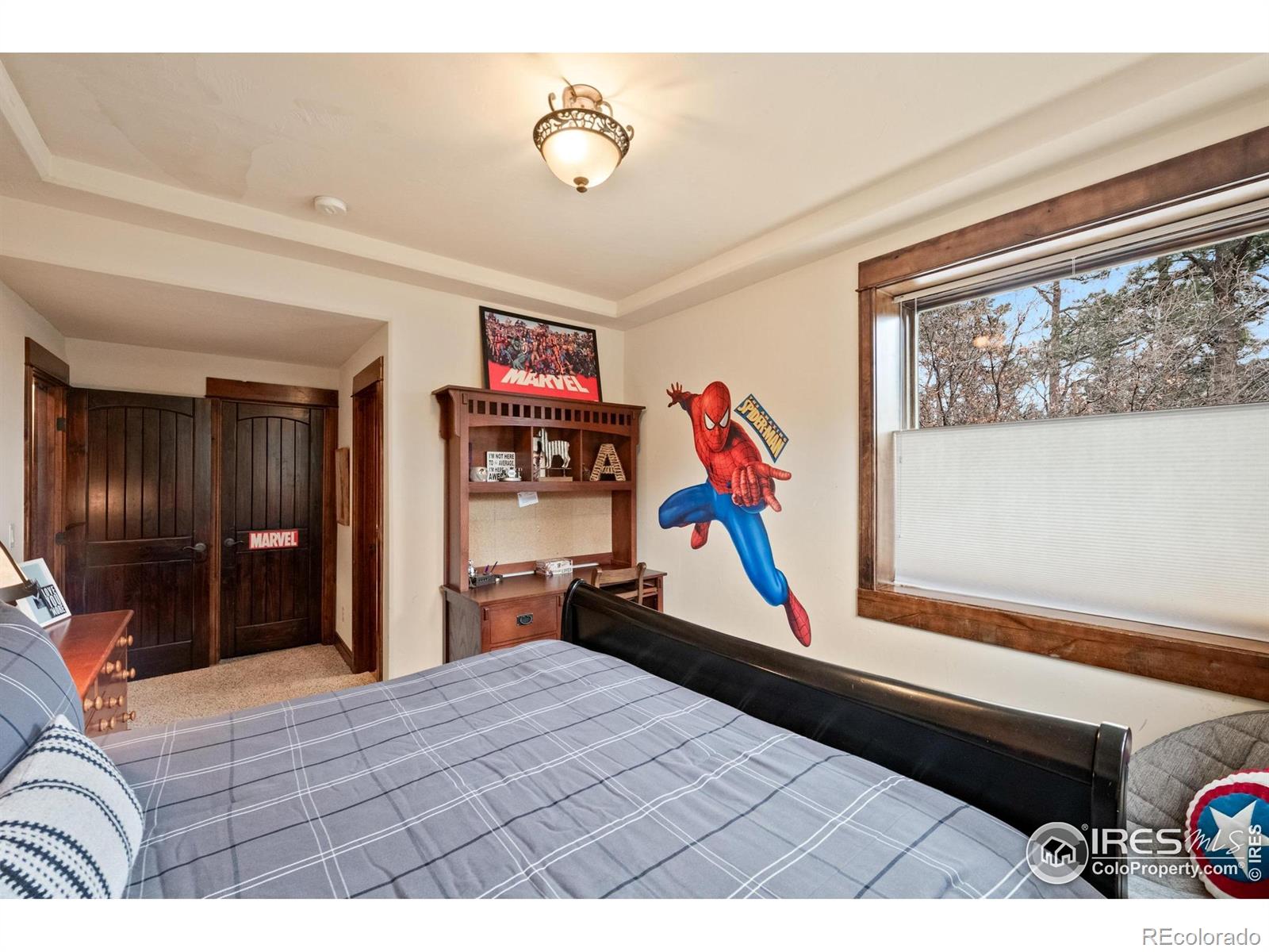 MLS Image #31 for 1782  tulip tree place,castle rock, Colorado