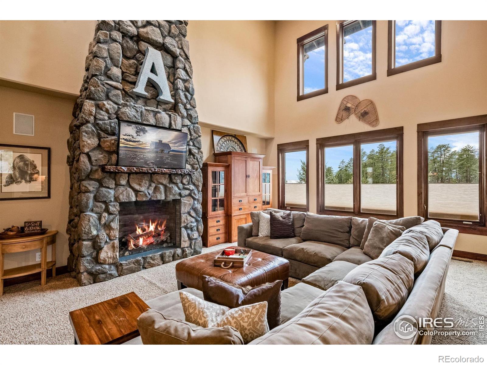 MLS Image #6 for 1782  tulip tree place,castle rock, Colorado