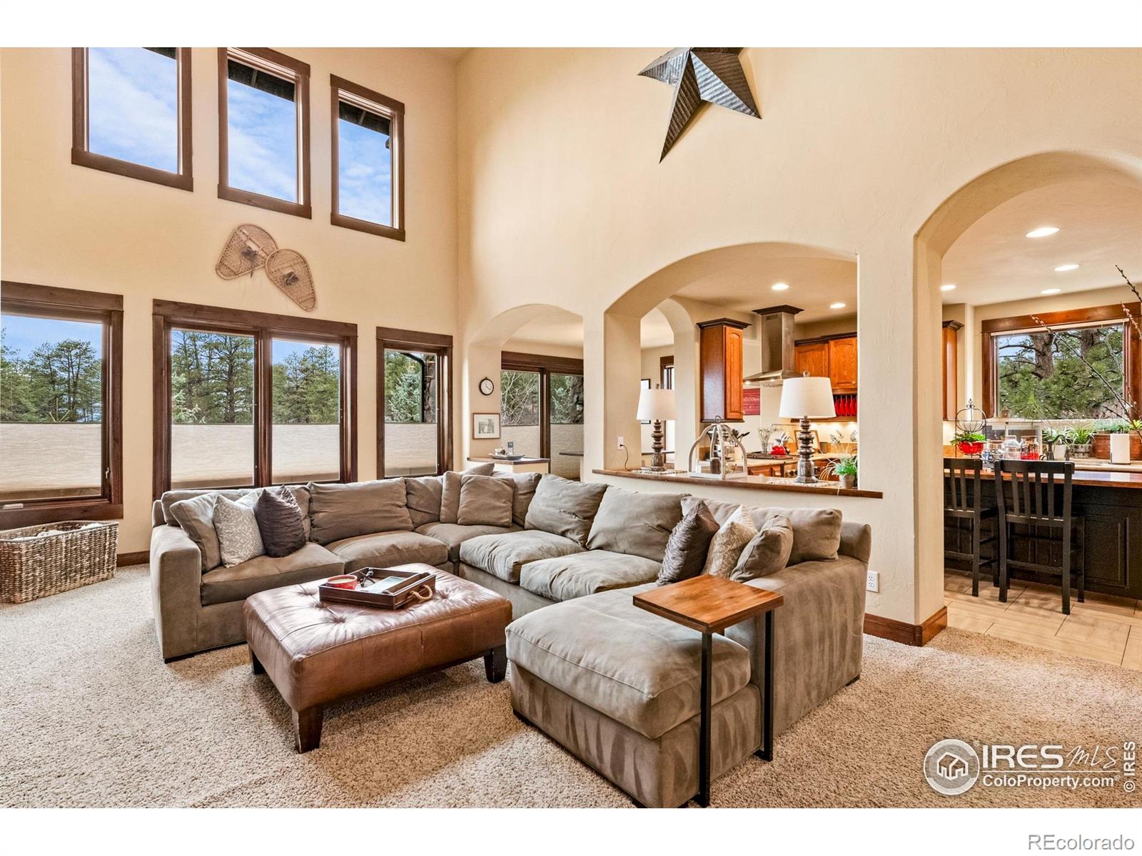 MLS Image #7 for 1782  tulip tree place,castle rock, Colorado