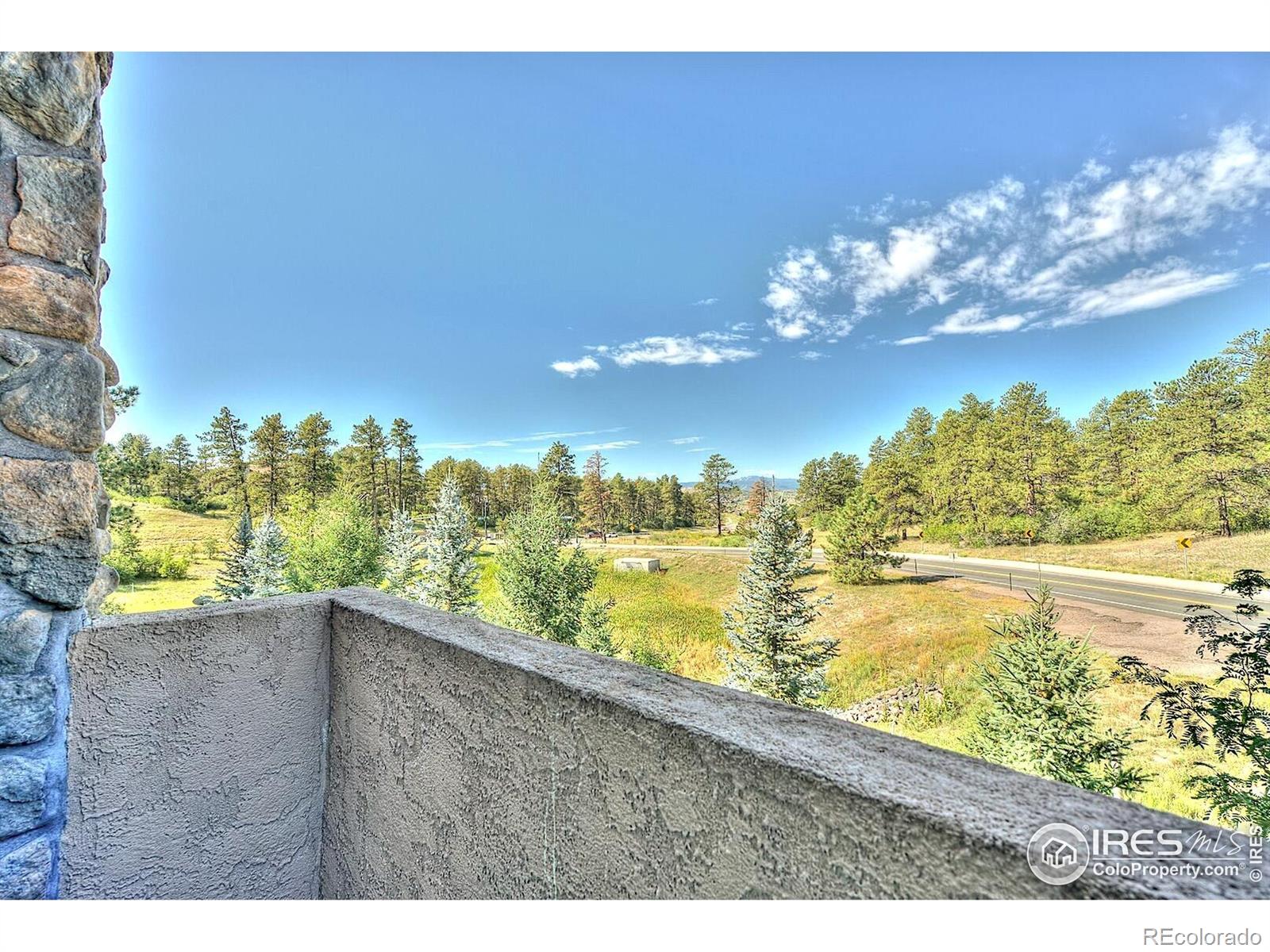 MLS Image #9 for 1782  tulip tree place,castle rock, Colorado