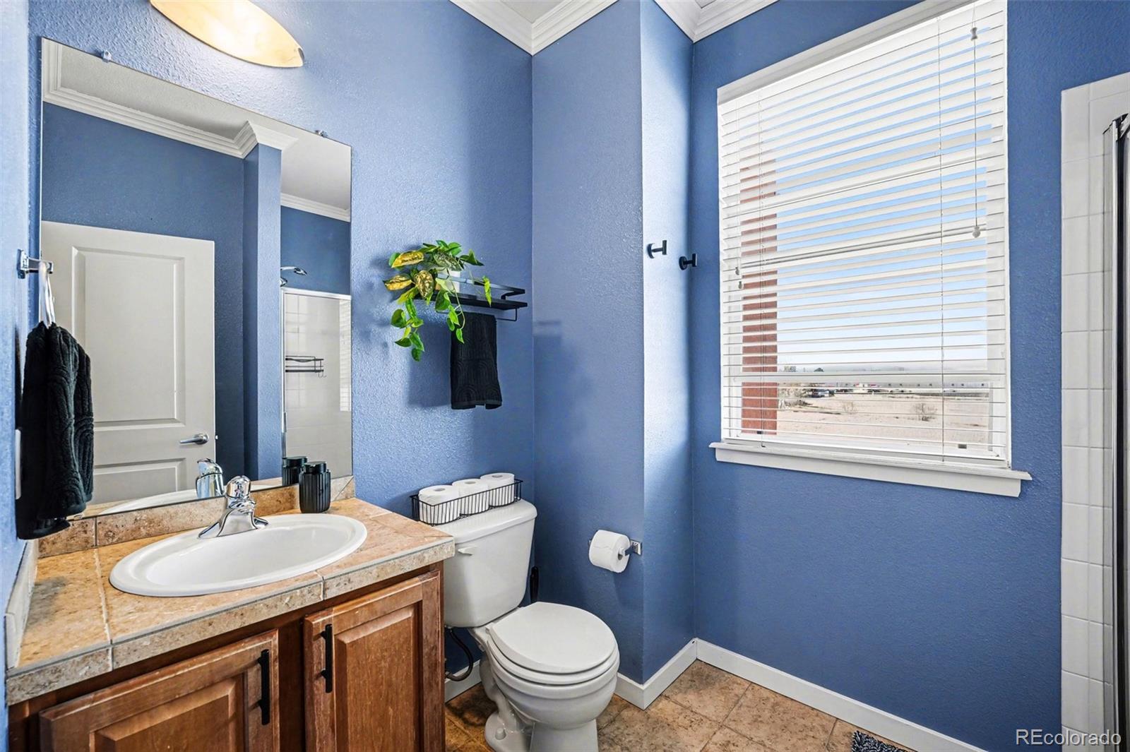 MLS Image #10 for 4100  albion street,denver, Colorado