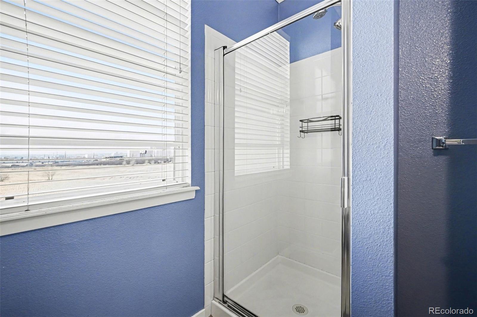 MLS Image #11 for 4100  albion street,denver, Colorado