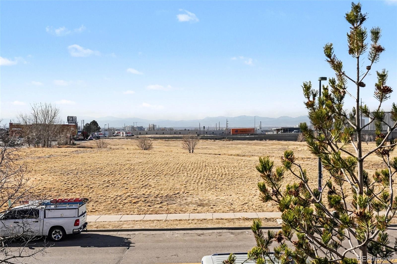 MLS Image #18 for 4100  albion street,denver, Colorado