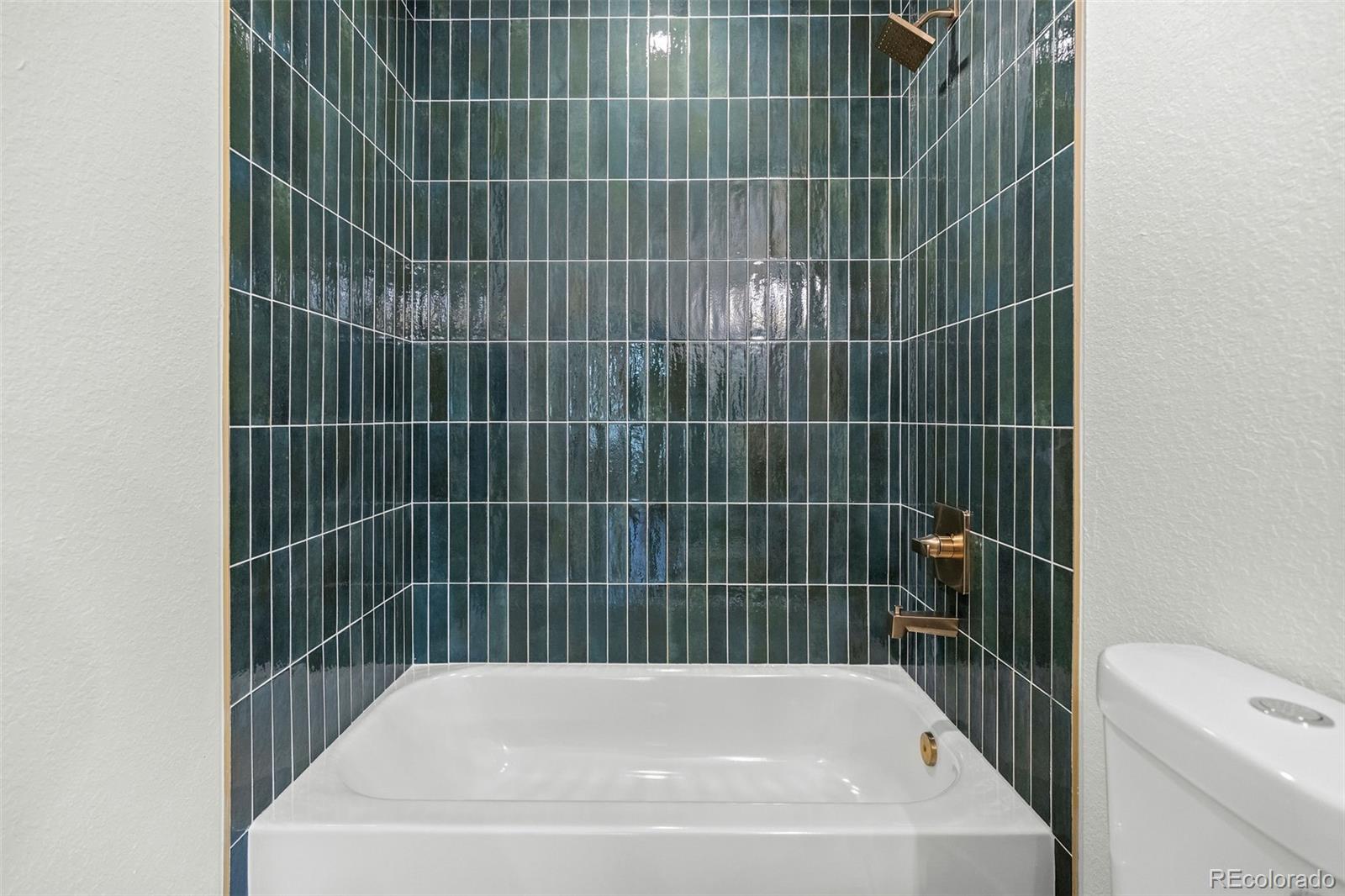 MLS Image #10 for 43  hazel court,denver, Colorado
