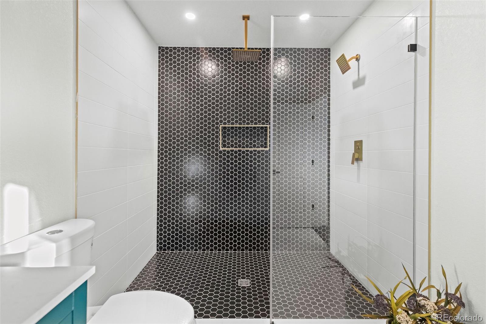 MLS Image #14 for 43  hazel court,denver, Colorado