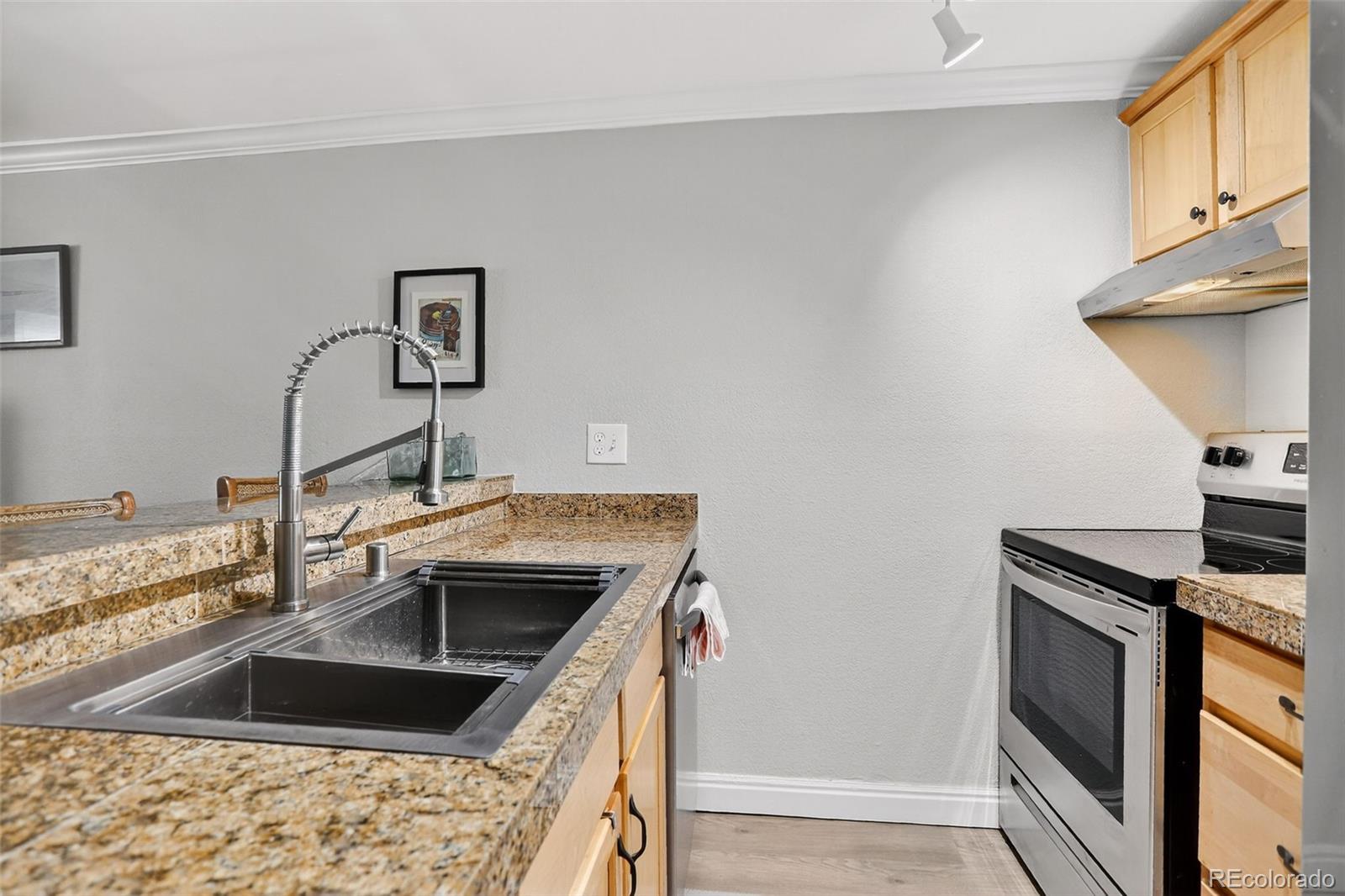 MLS Image #6 for 1125 n washington street,denver, Colorado