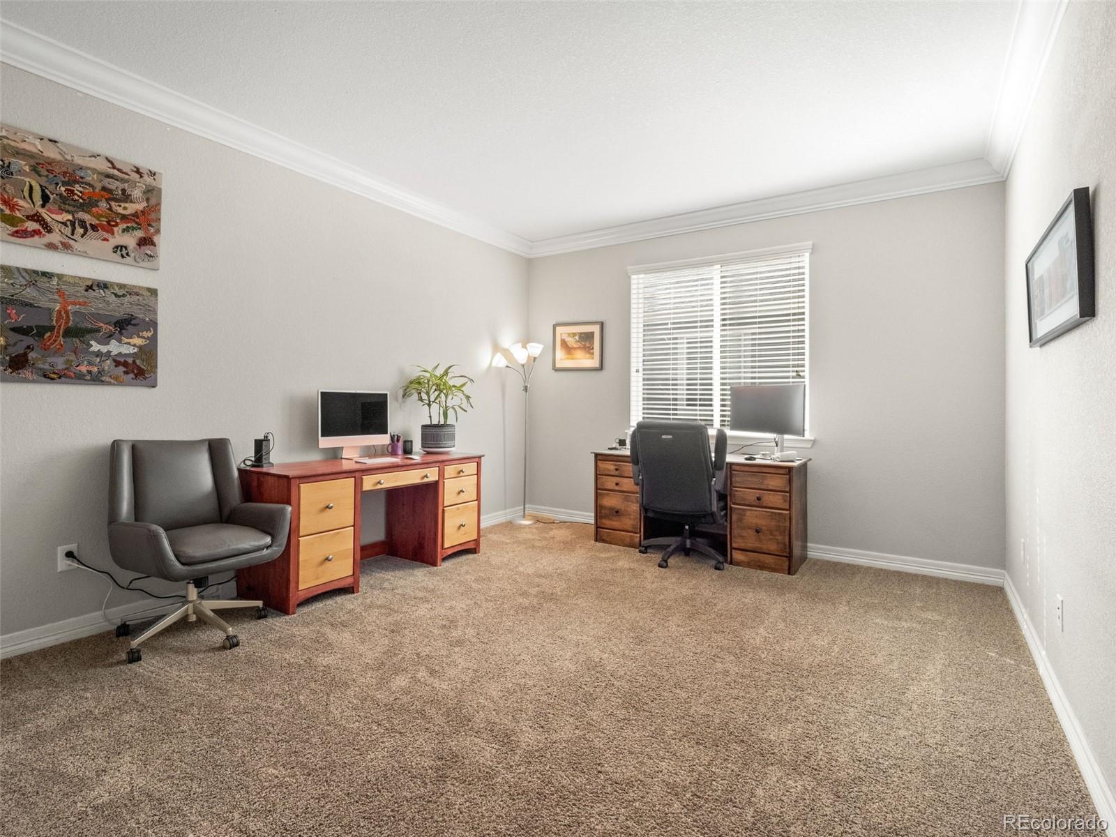 MLS Image #9 for 5173  longs peak street,brighton, Colorado