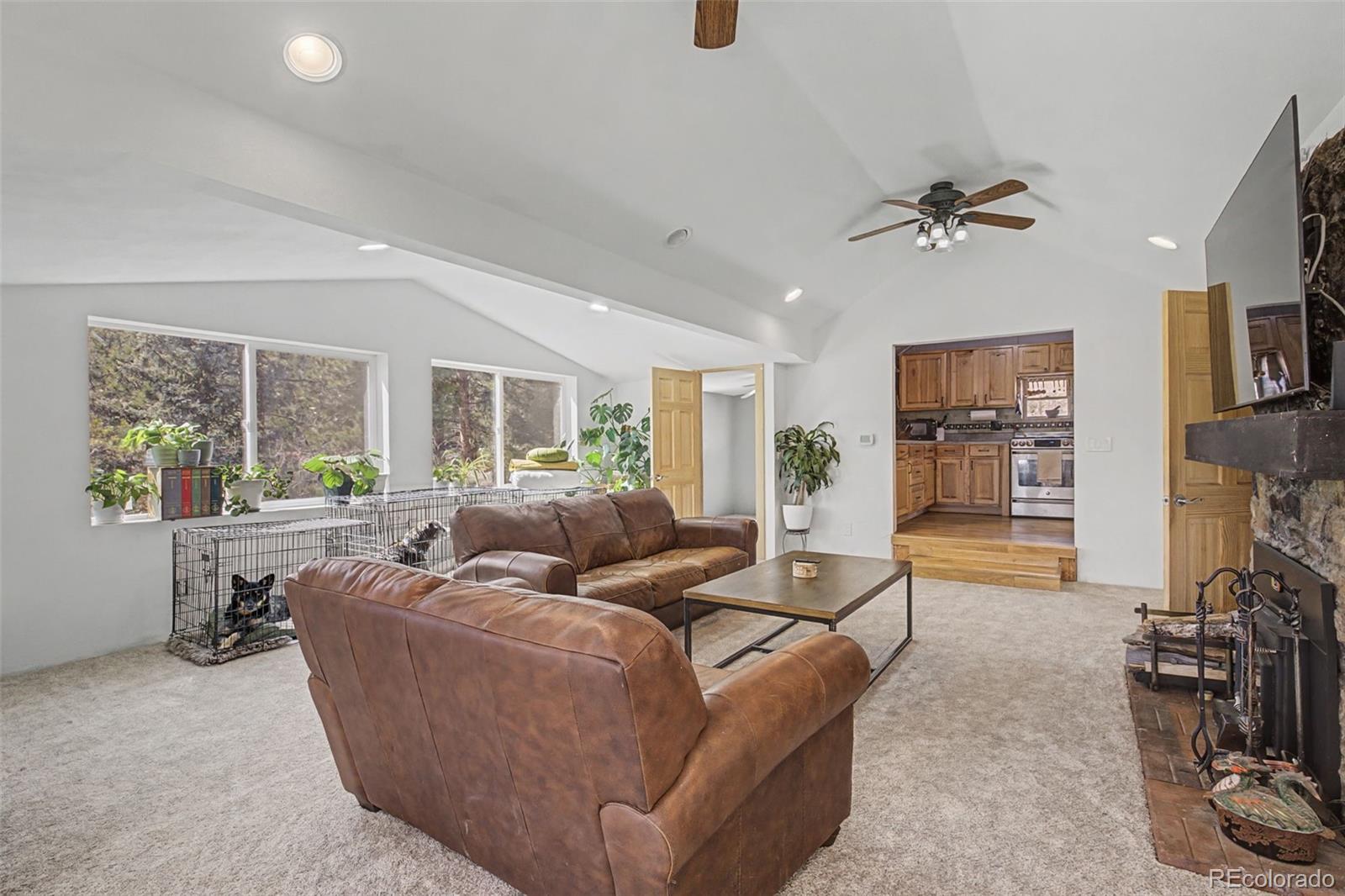 MLS Image #10 for 10116  sprucedale drive,conifer, Colorado