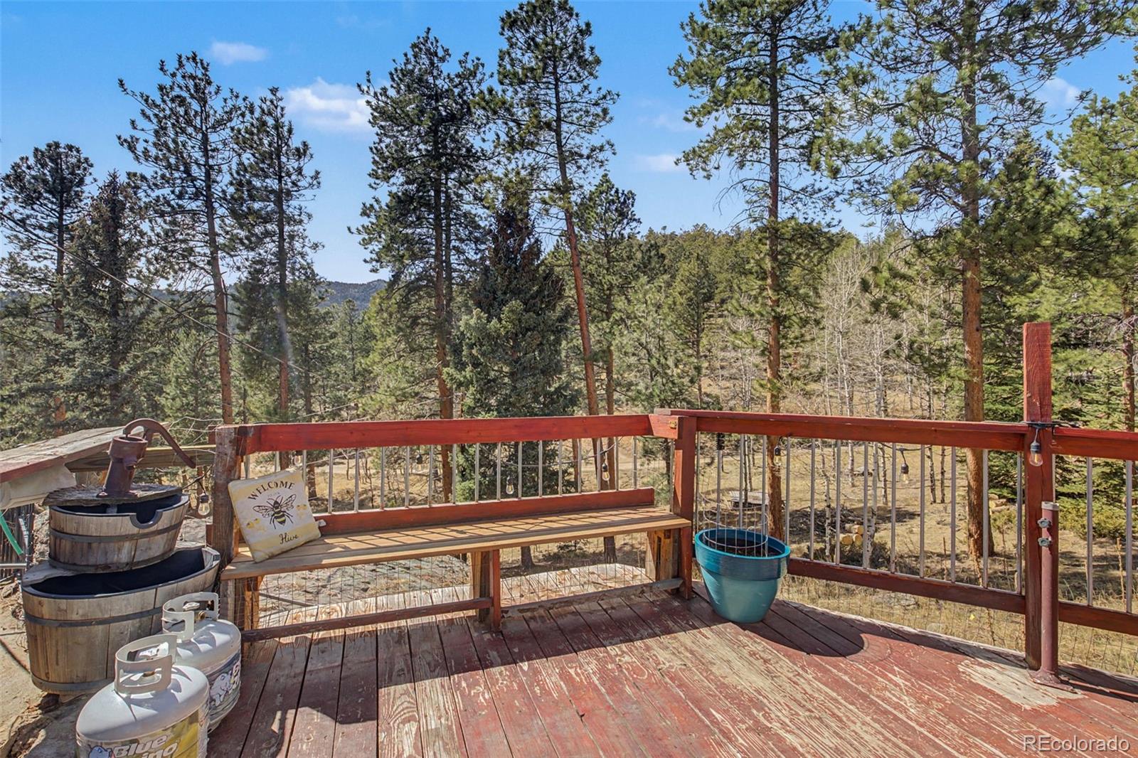 MLS Image #34 for 10116  sprucedale drive,conifer, Colorado