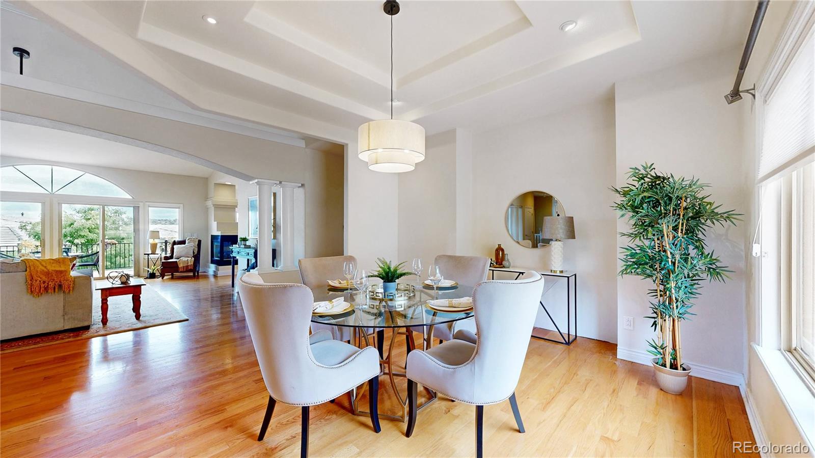 MLS Image #6 for 6480  willow broom trail,littleton, Colorado