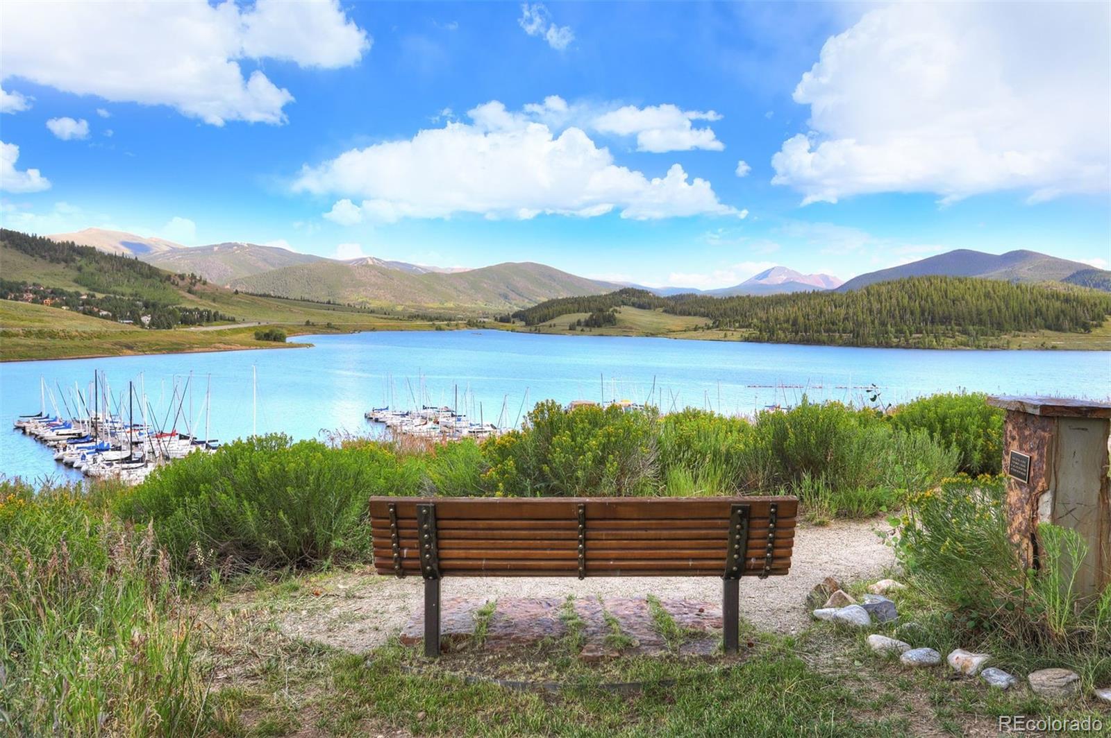 MLS Image #41 for 220 e la bonte street,dillon, Colorado