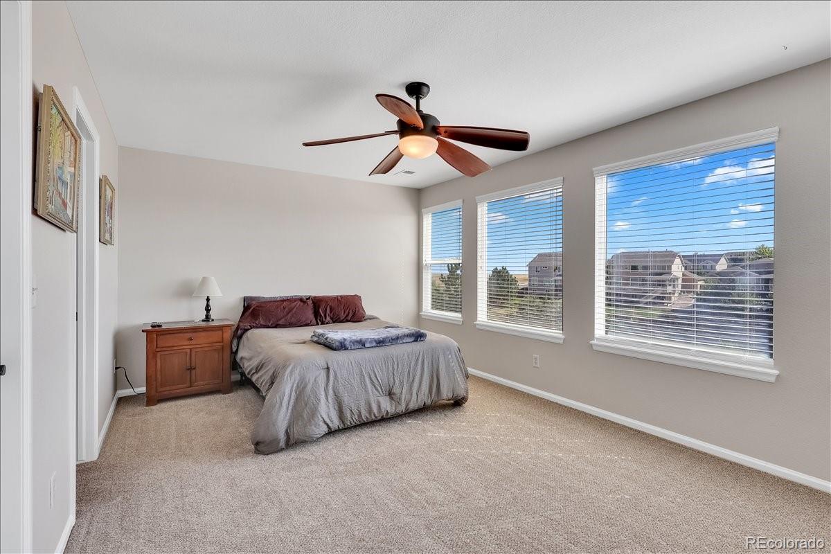 MLS Image #14 for 1335  galactic place,castle rock, Colorado