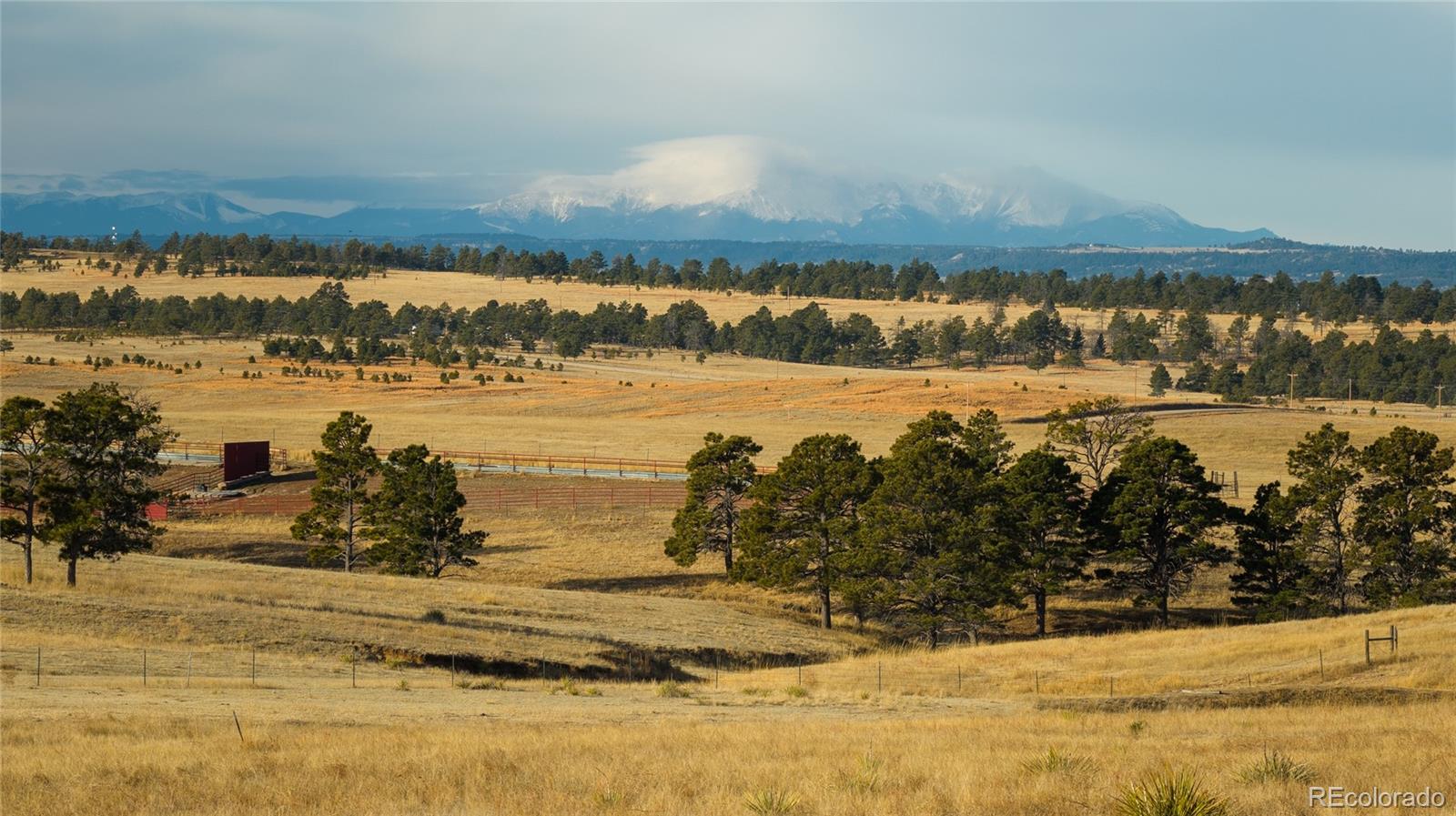 MLS Image #3 for 24063  county road 122 ,ramah, Colorado